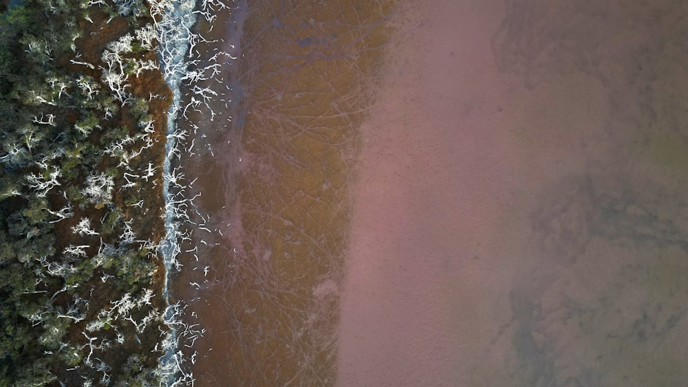 Ein Strand und ein Gewässer aus der Vogelperspektive