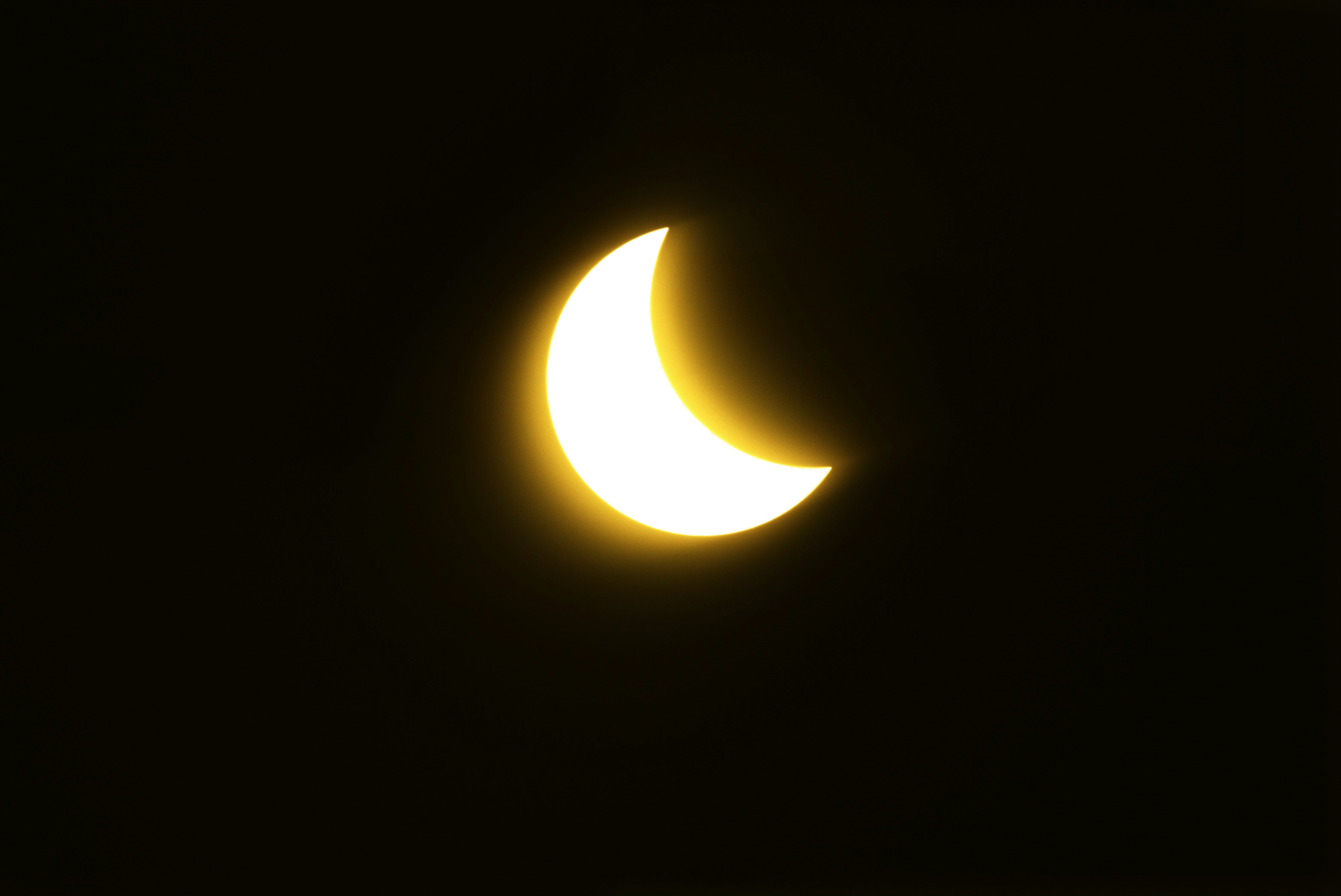 Photo by sdbusch77