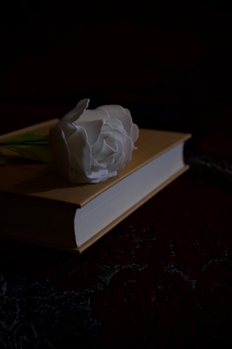 a white rose sitting on top of a book