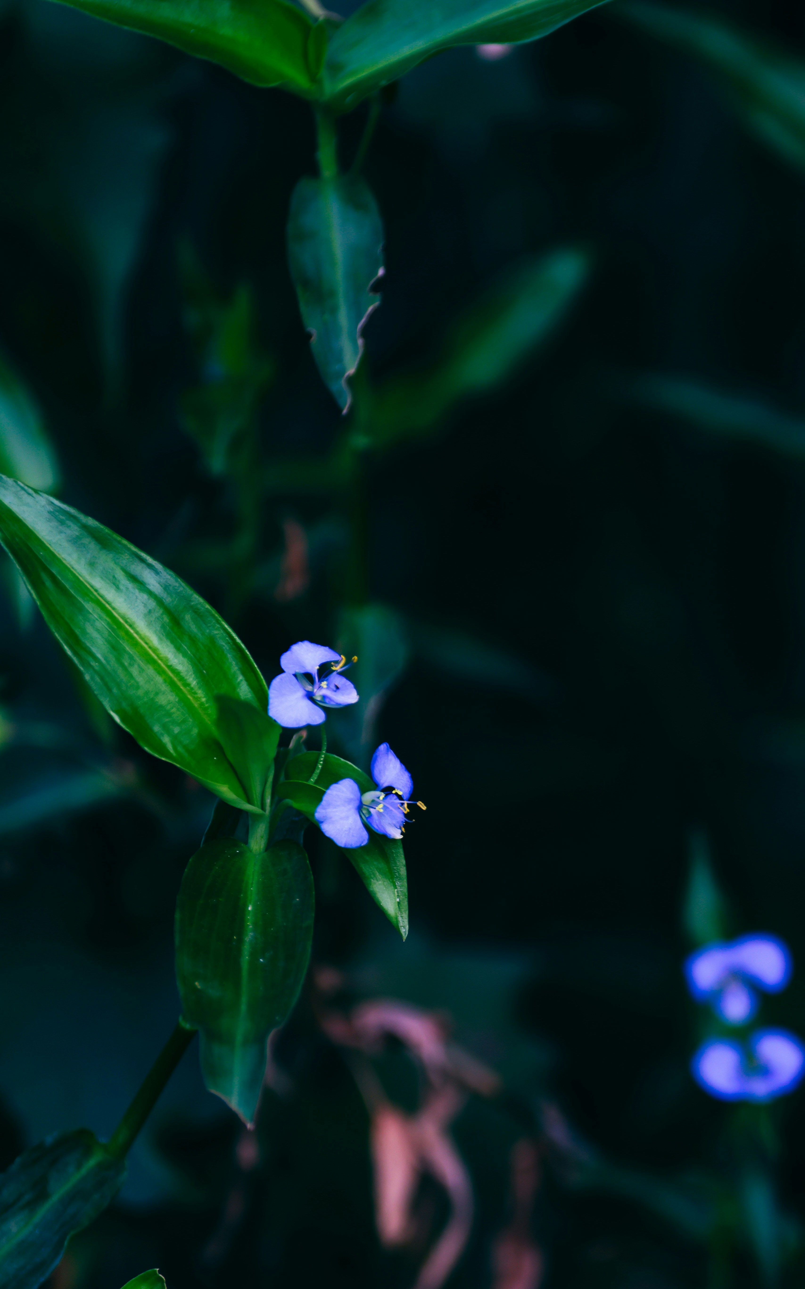 Photo by dickenslin76