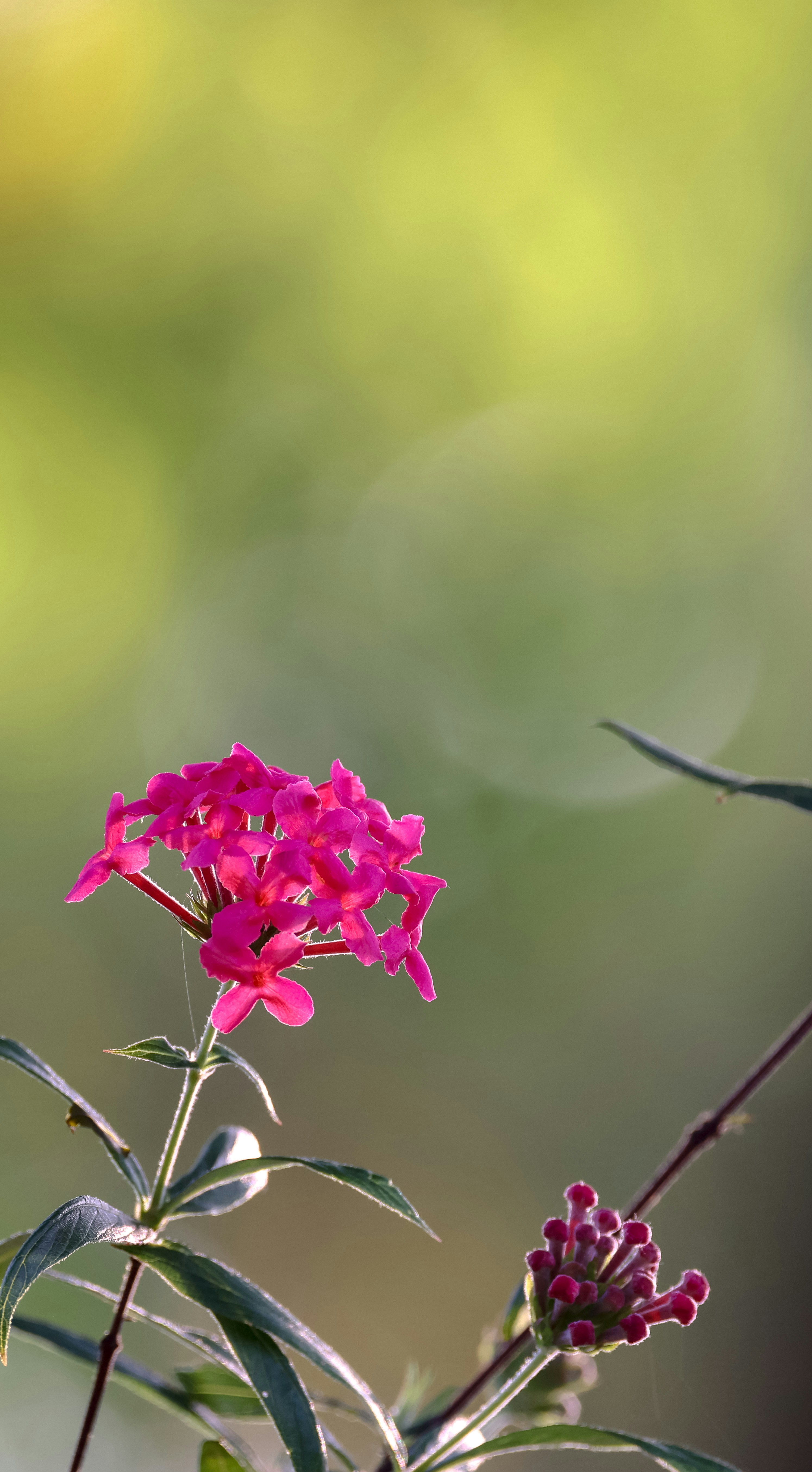 Photo by dickenslin76