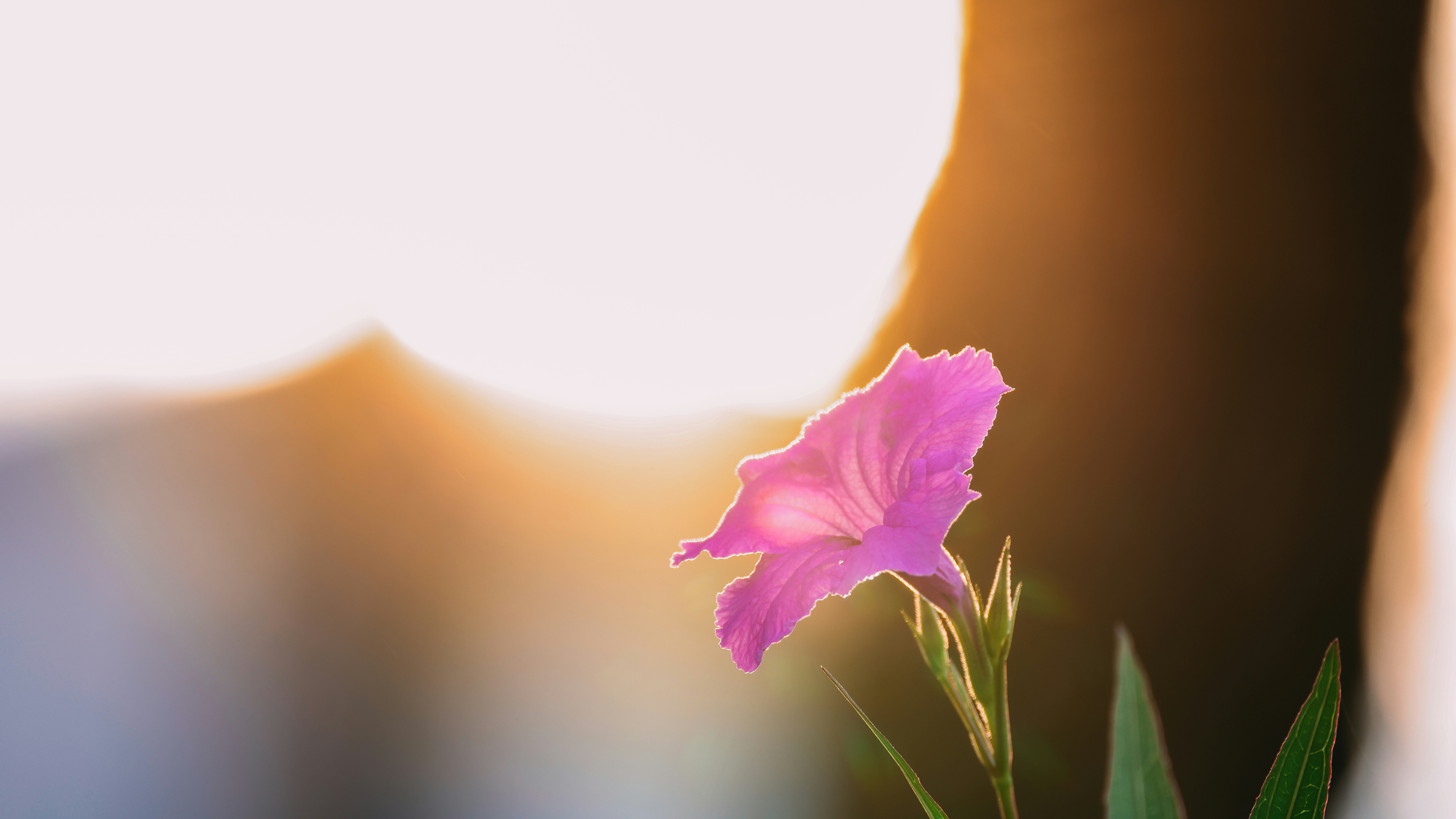 Photo by dickenslin76