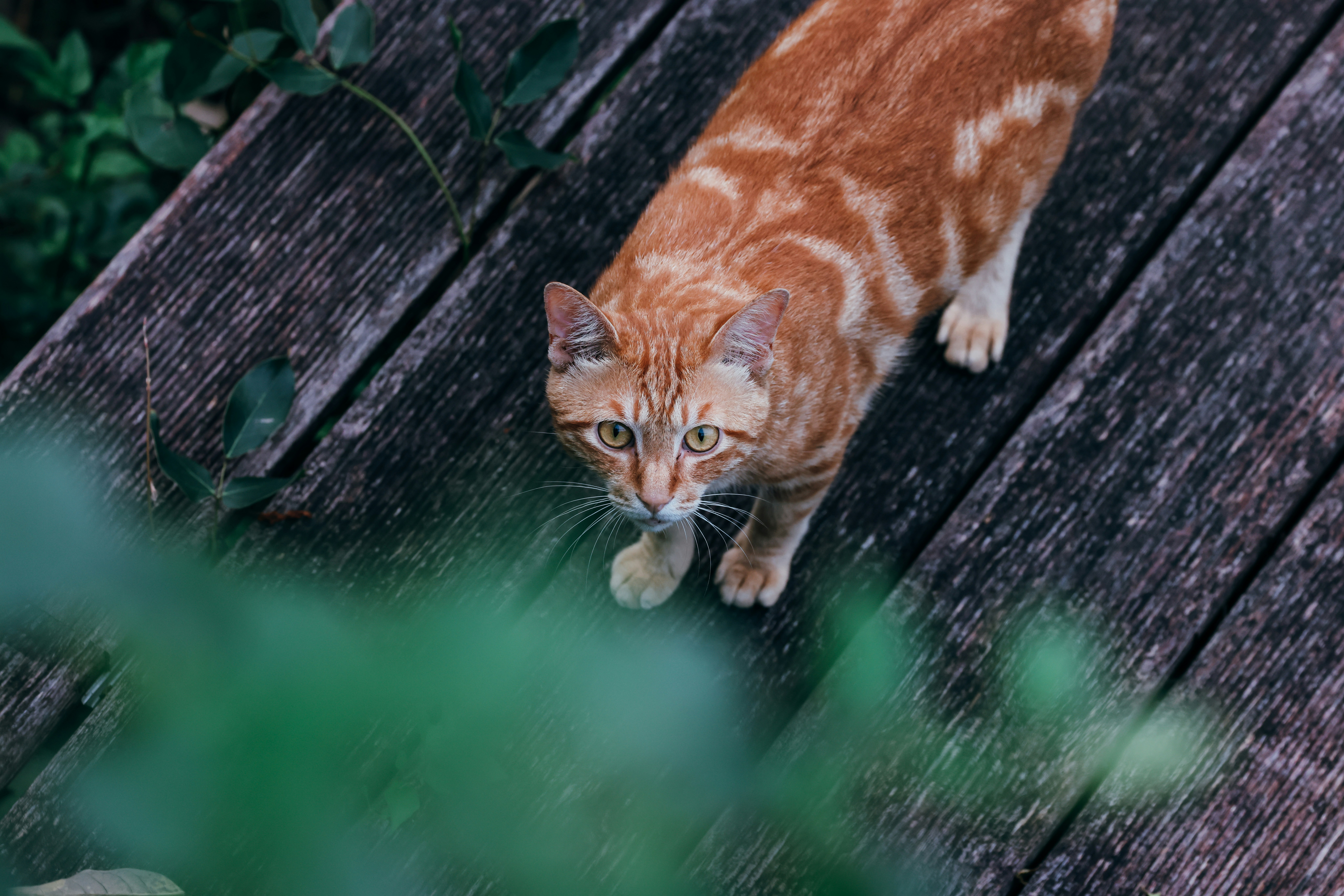 Photo by dickenslin76