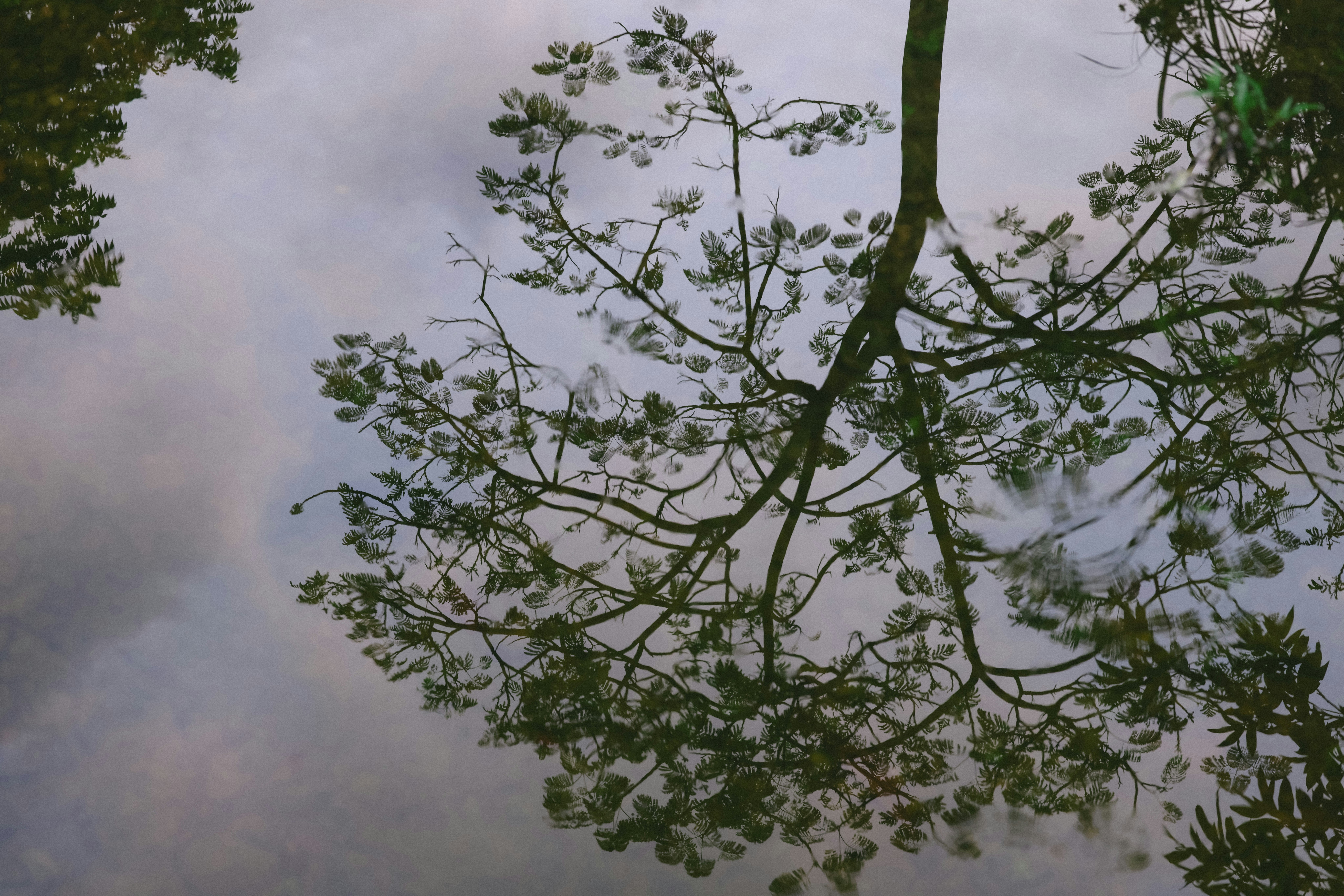 Photo by dickenslin76