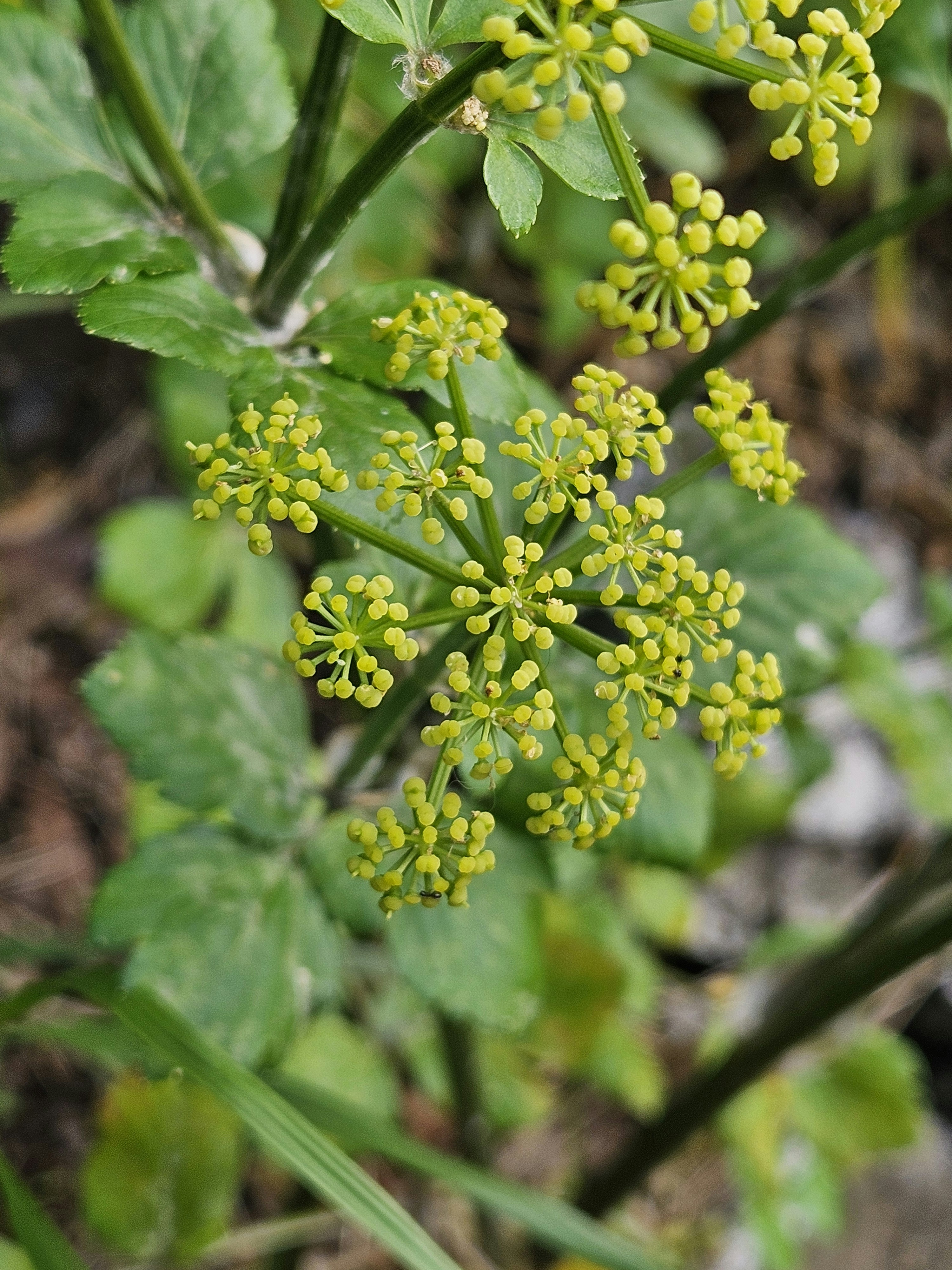 Photo by dilettadavolio