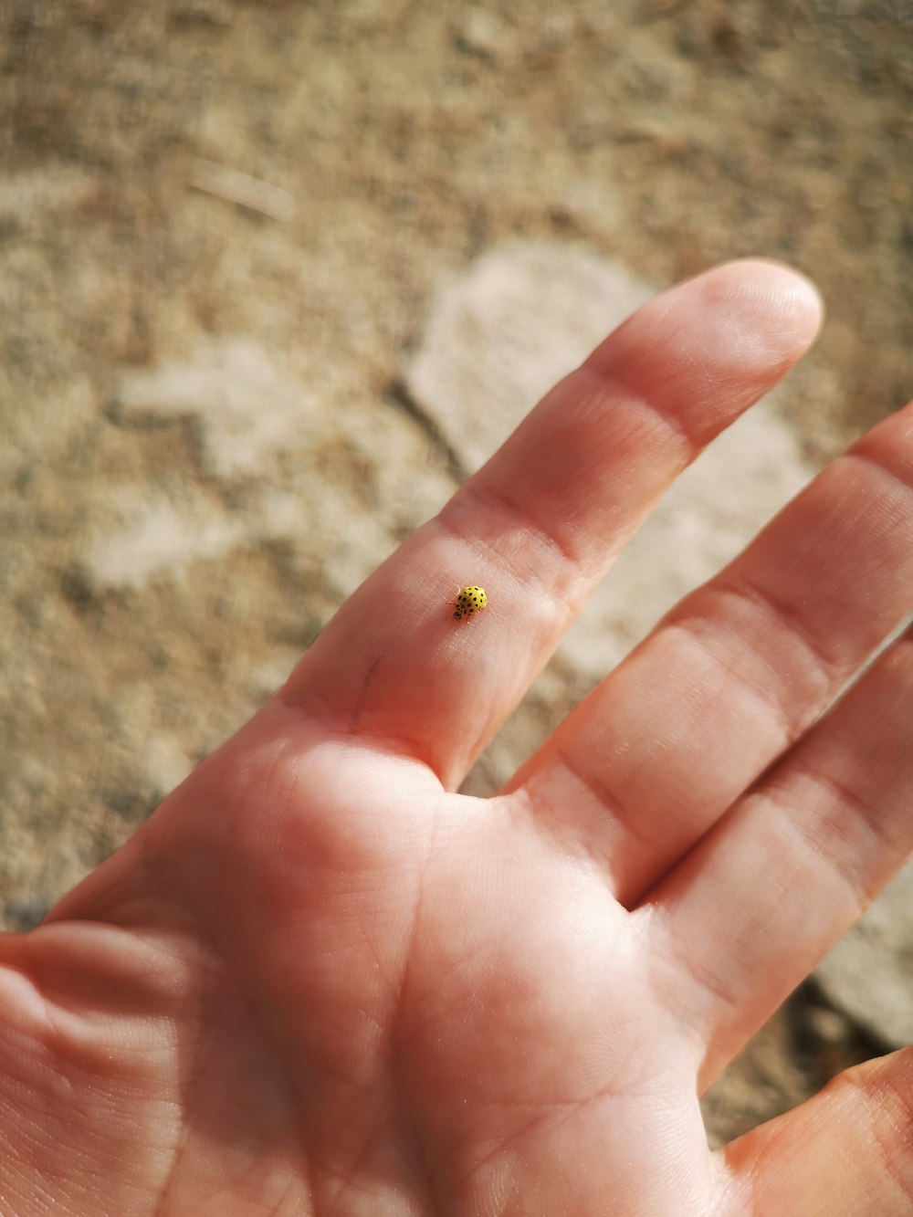 a hand holding a tiny yellow object in it's palm