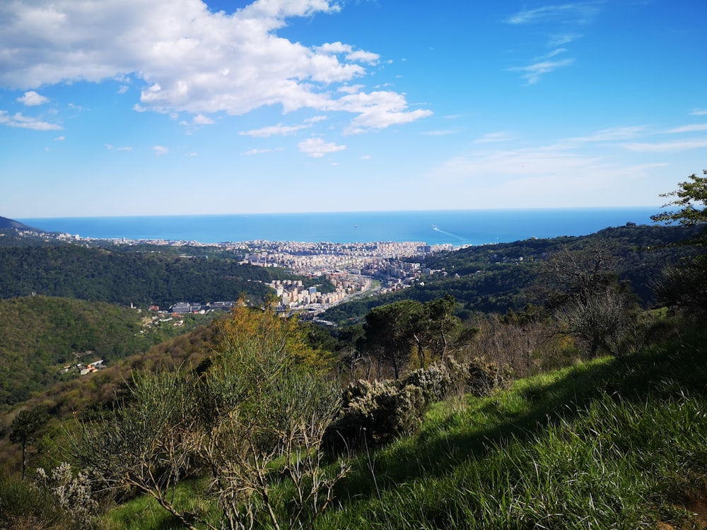 a view of a city from a hill