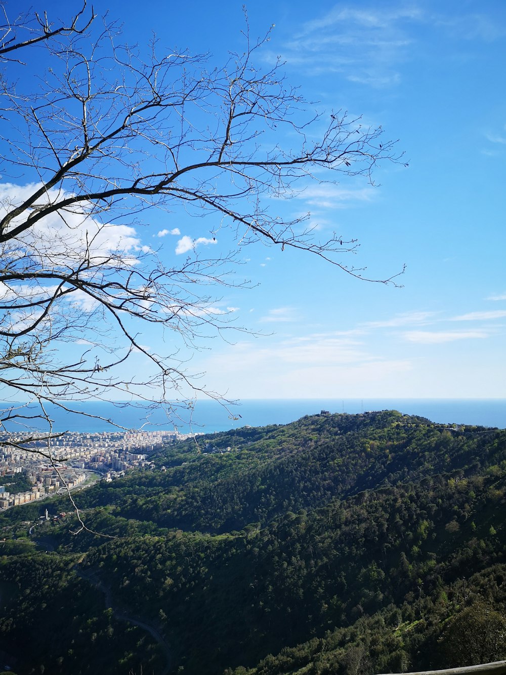 a view of a city from a hill top