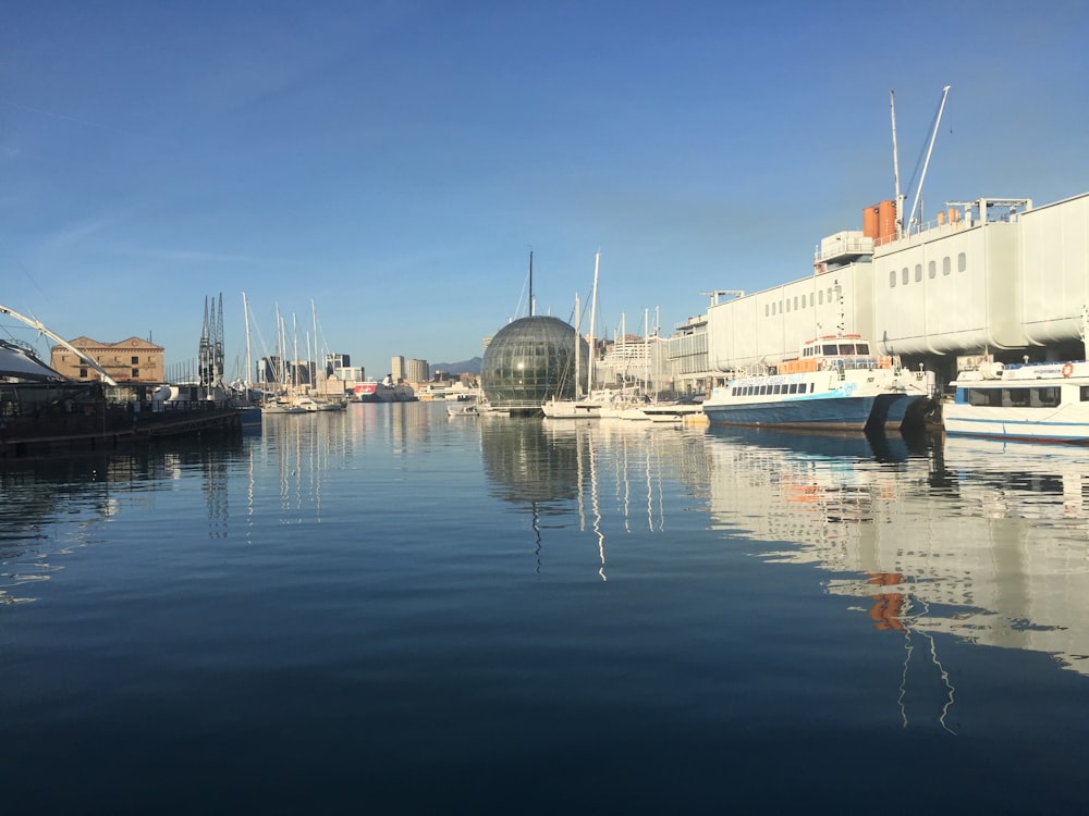 ein Gewässer mit einem Haufen Boote darin