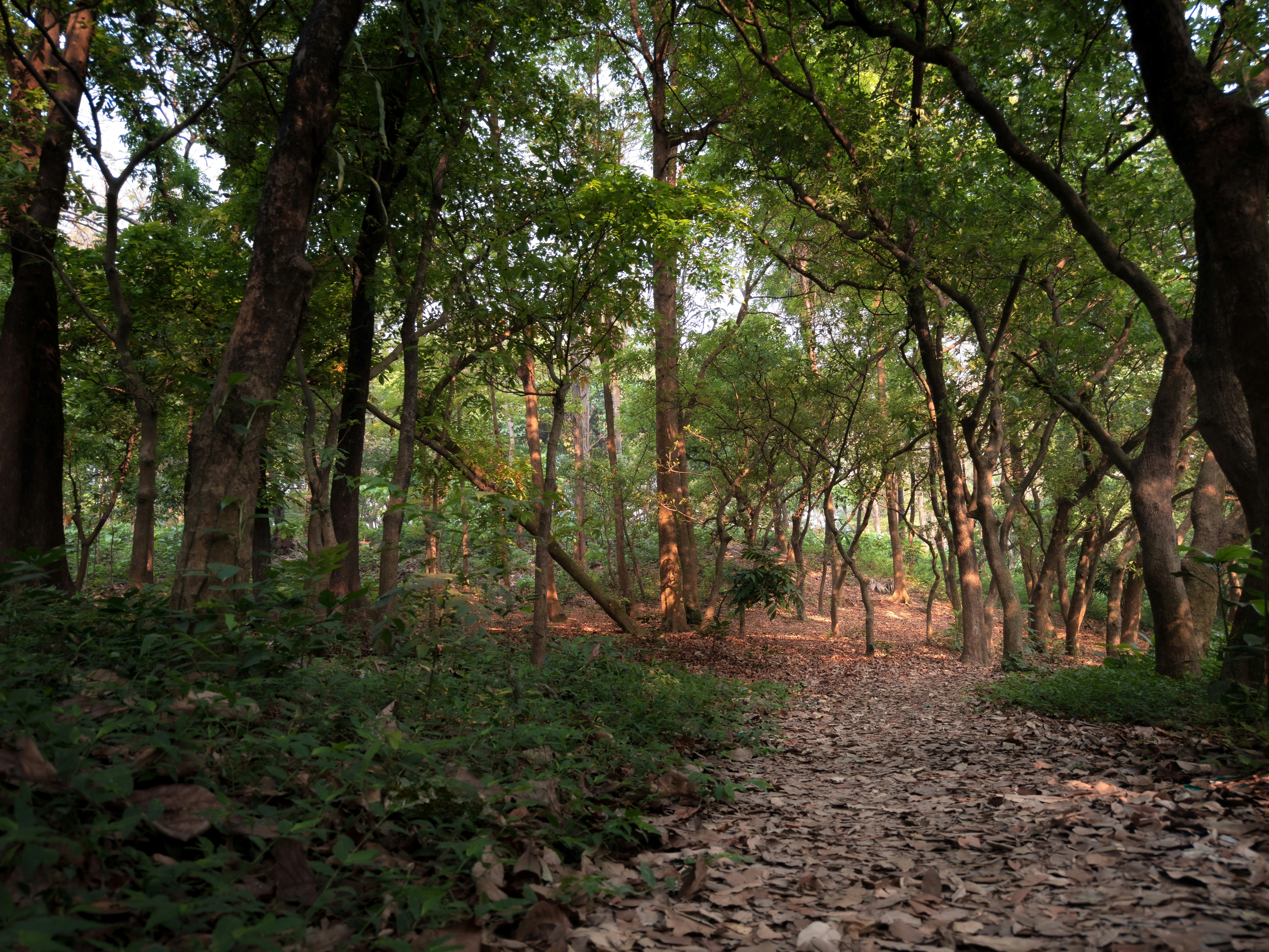 Granola Nazis and Tradwives with Dr. Cat Tebaldi