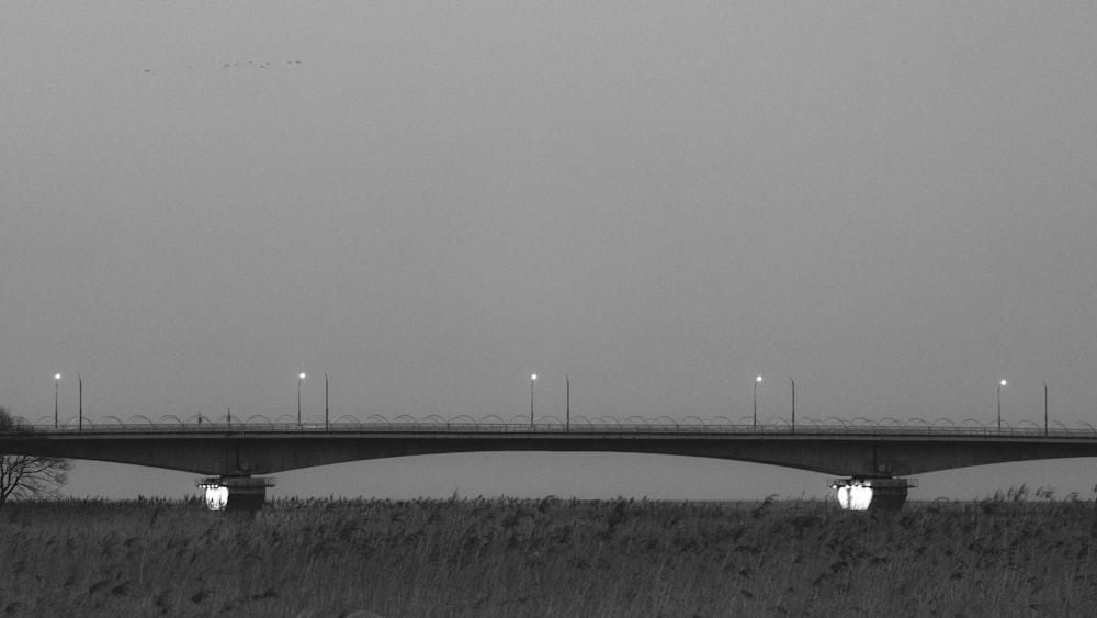 a black and white photo of a bridge