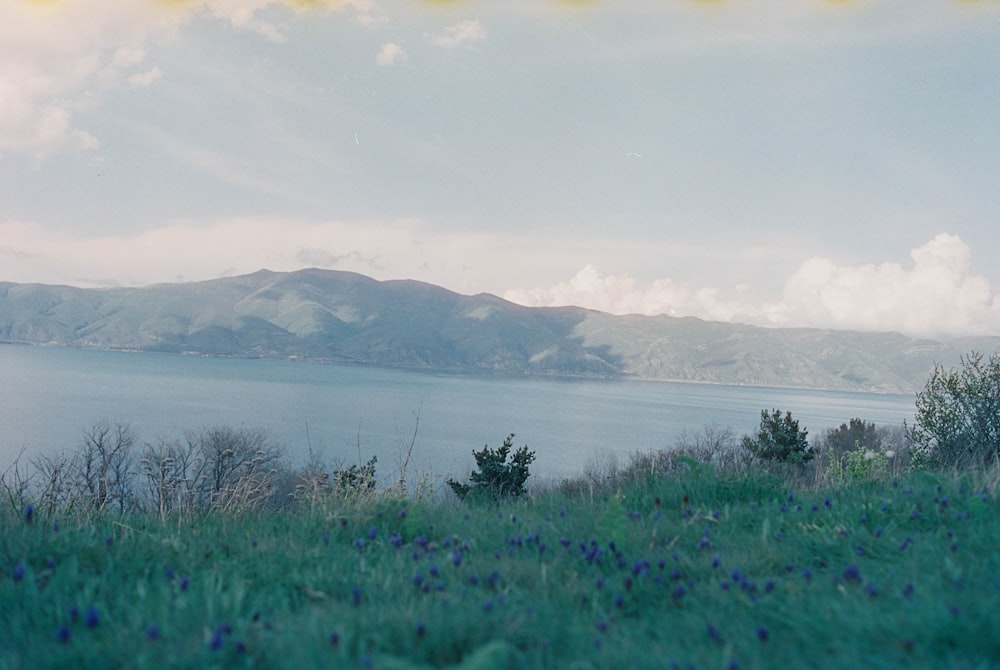 a view of a large body of water with mountains in the background