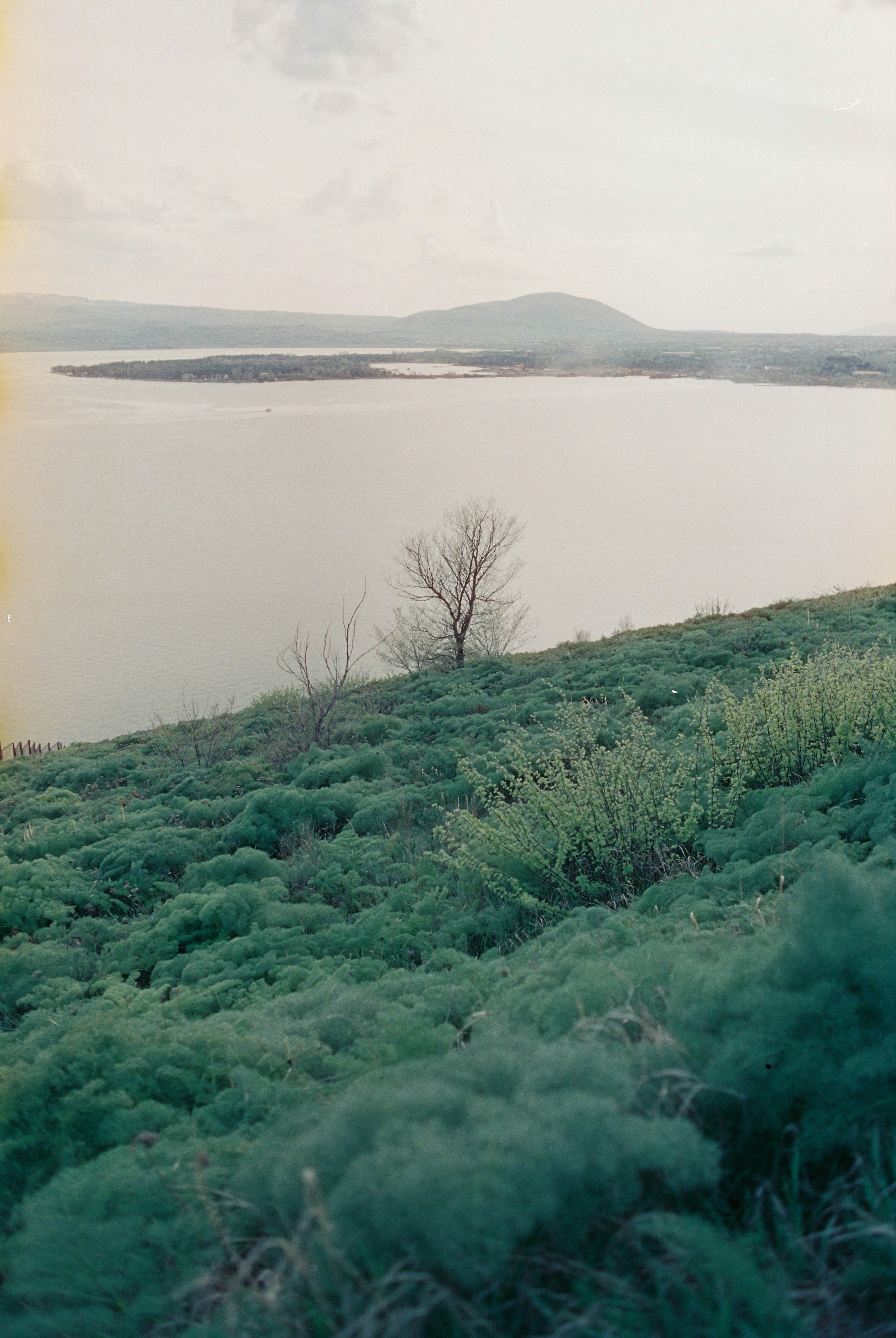 Photo by captoprisko