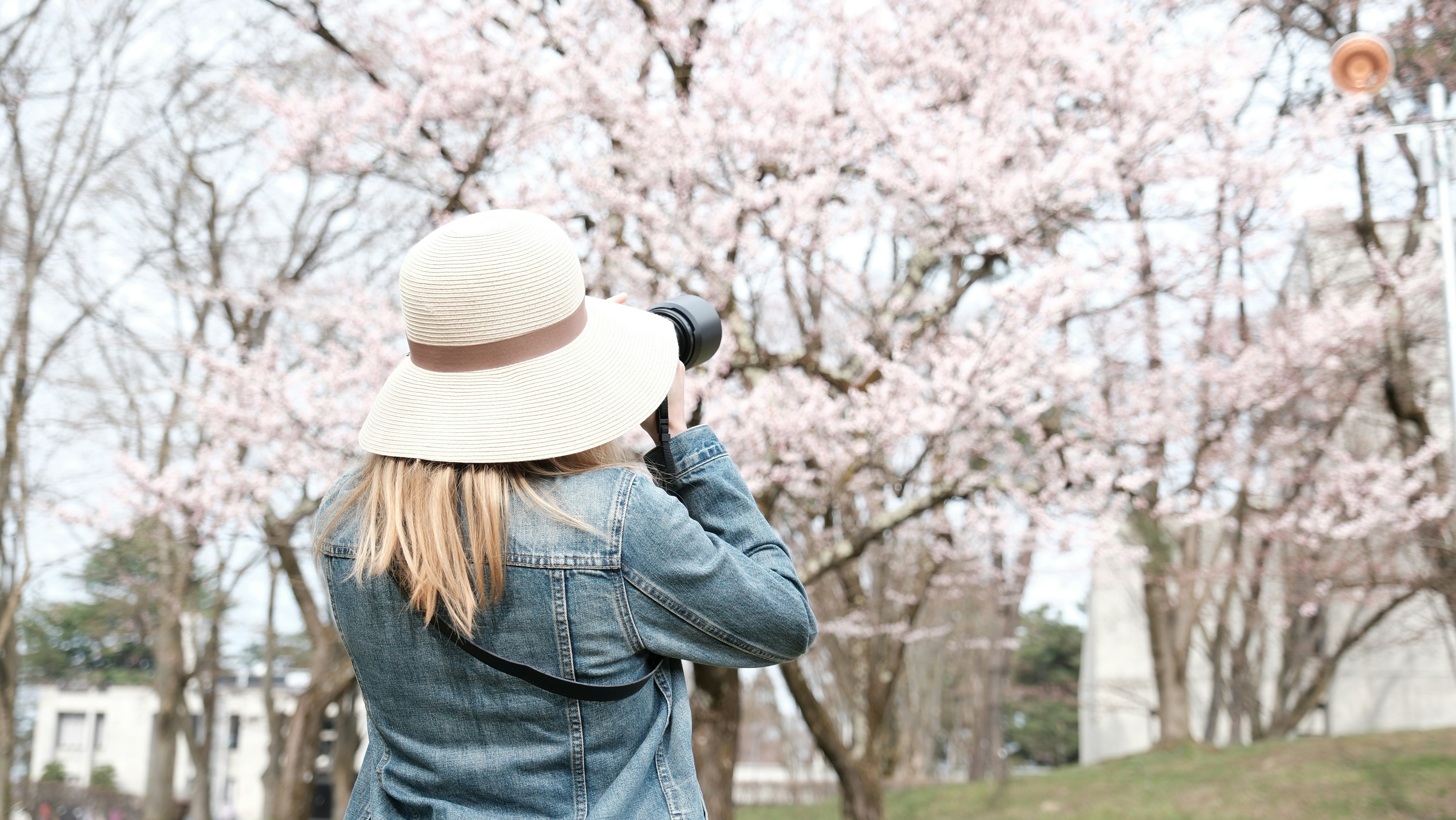 Photo by seiya_maeda