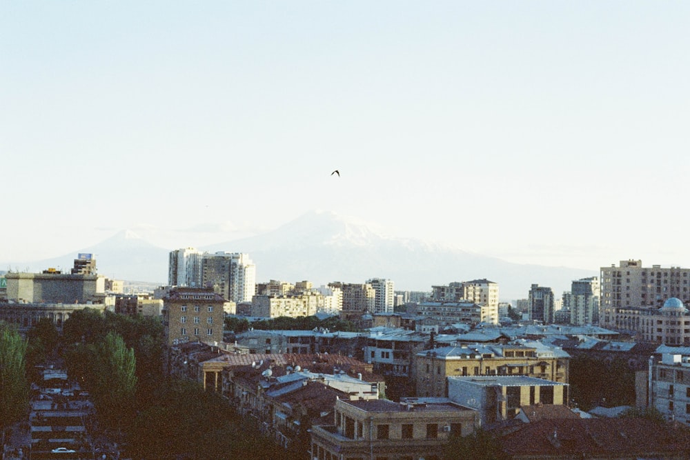 a view of a city with a mountain in the background