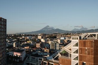 a view of a city with mountains in the background