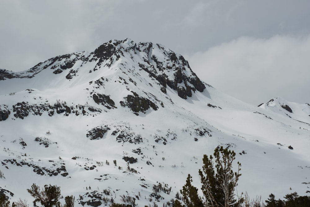 a snow covered mountain with trees in the foreground