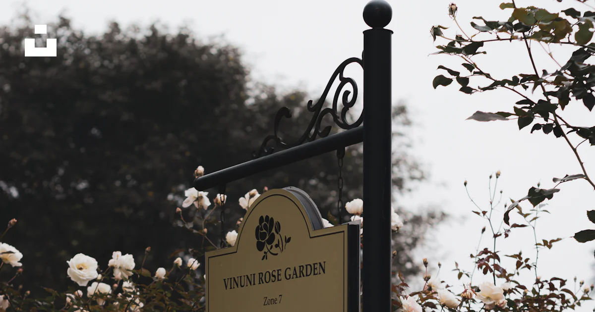 A street sign sitting next to a bush with white flowers photo – Free ...