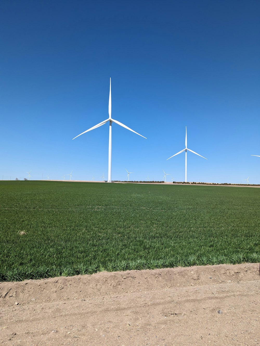 a field of green grass with three wind turbines in the background