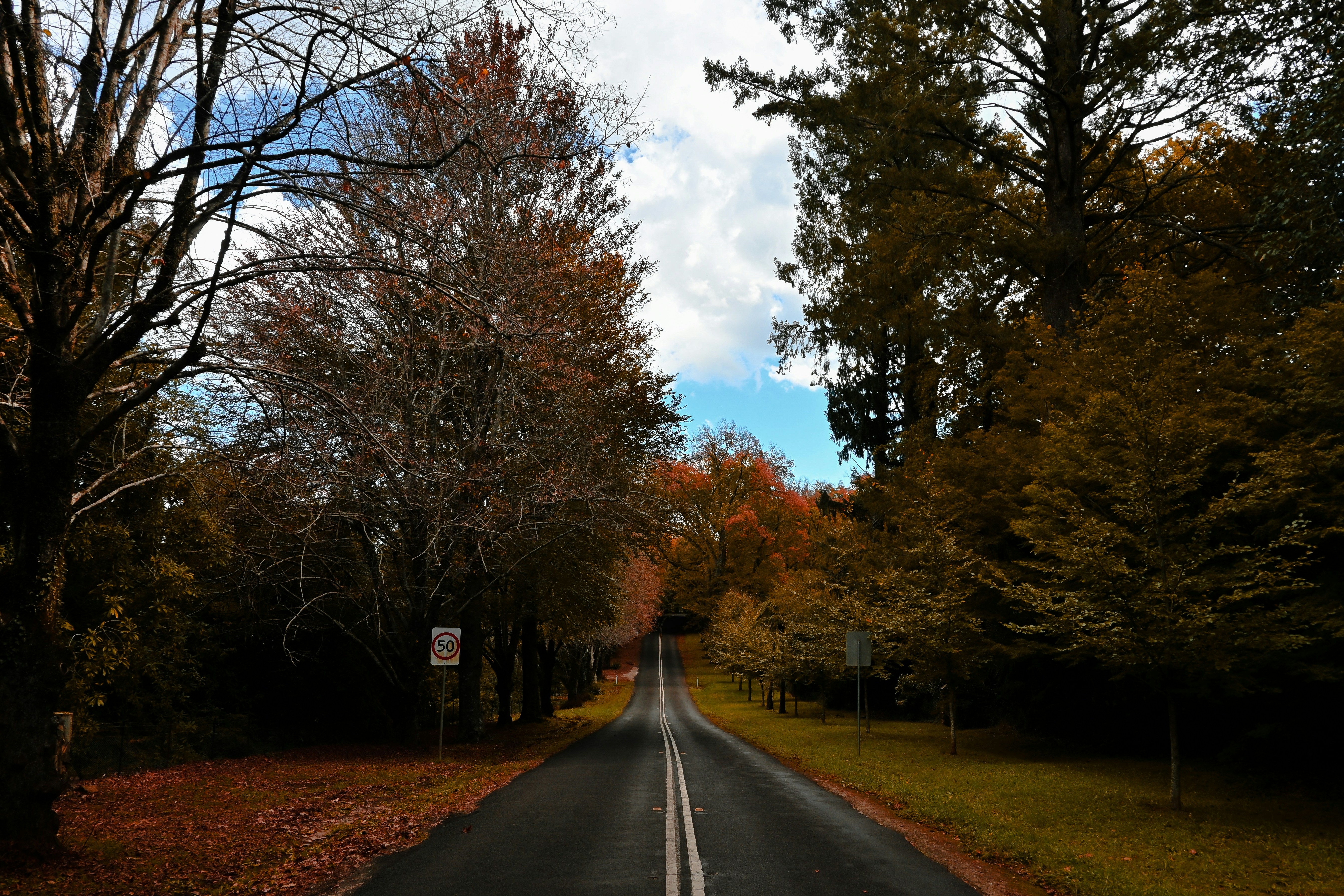 Photo by avignakaran