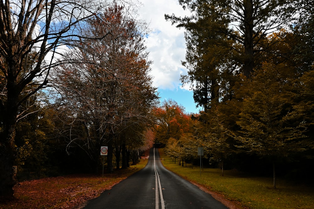 an empty road surrounded by trees in the fall