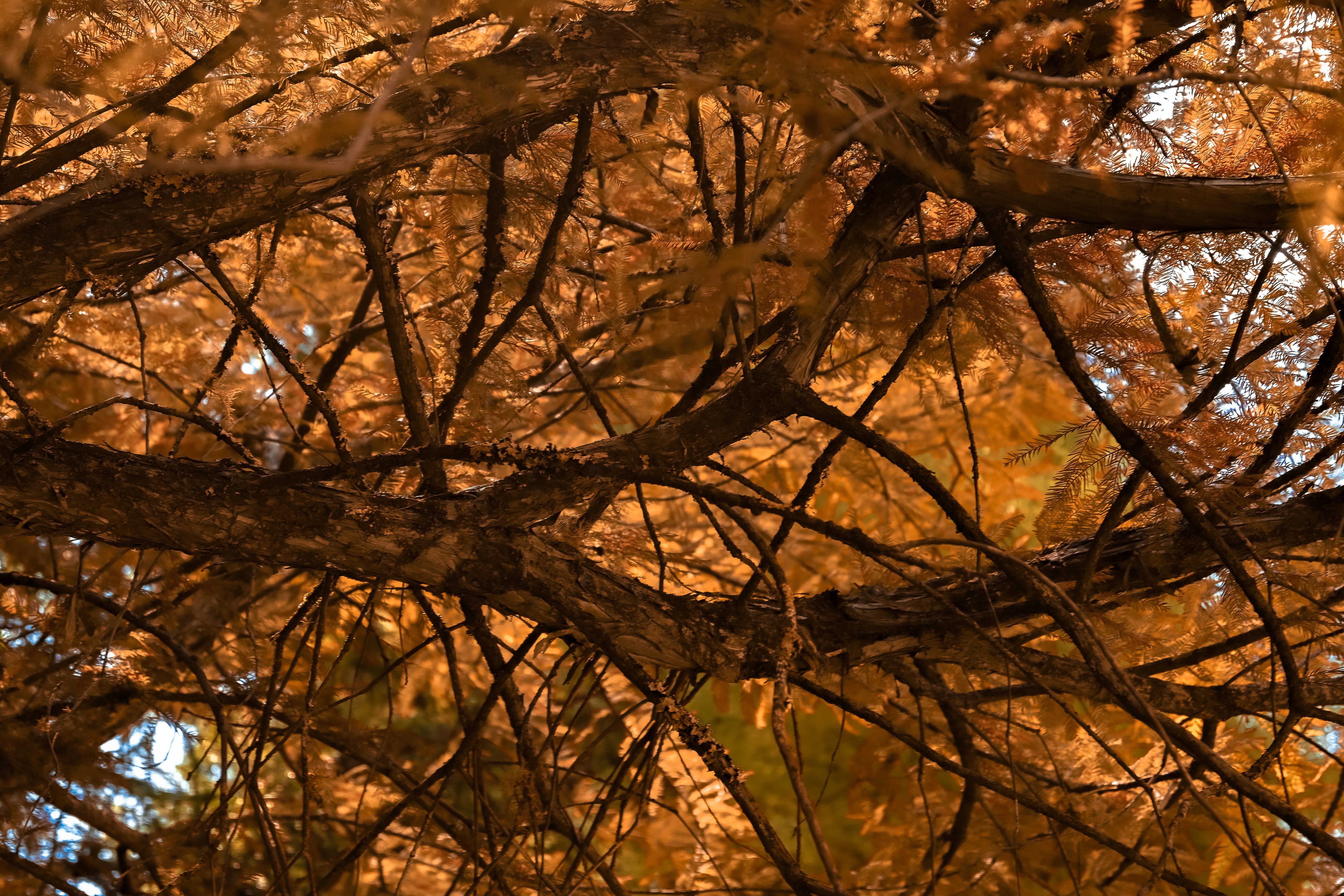 Photo by avignakaran