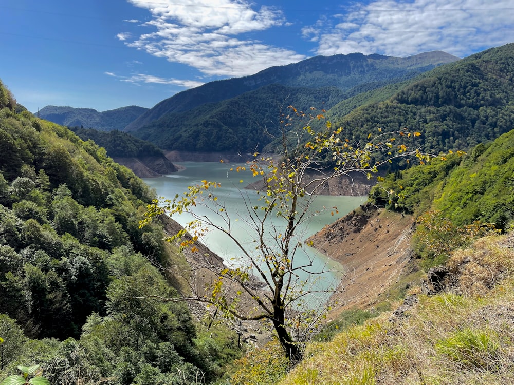 a view of a lake surrounded by mountains