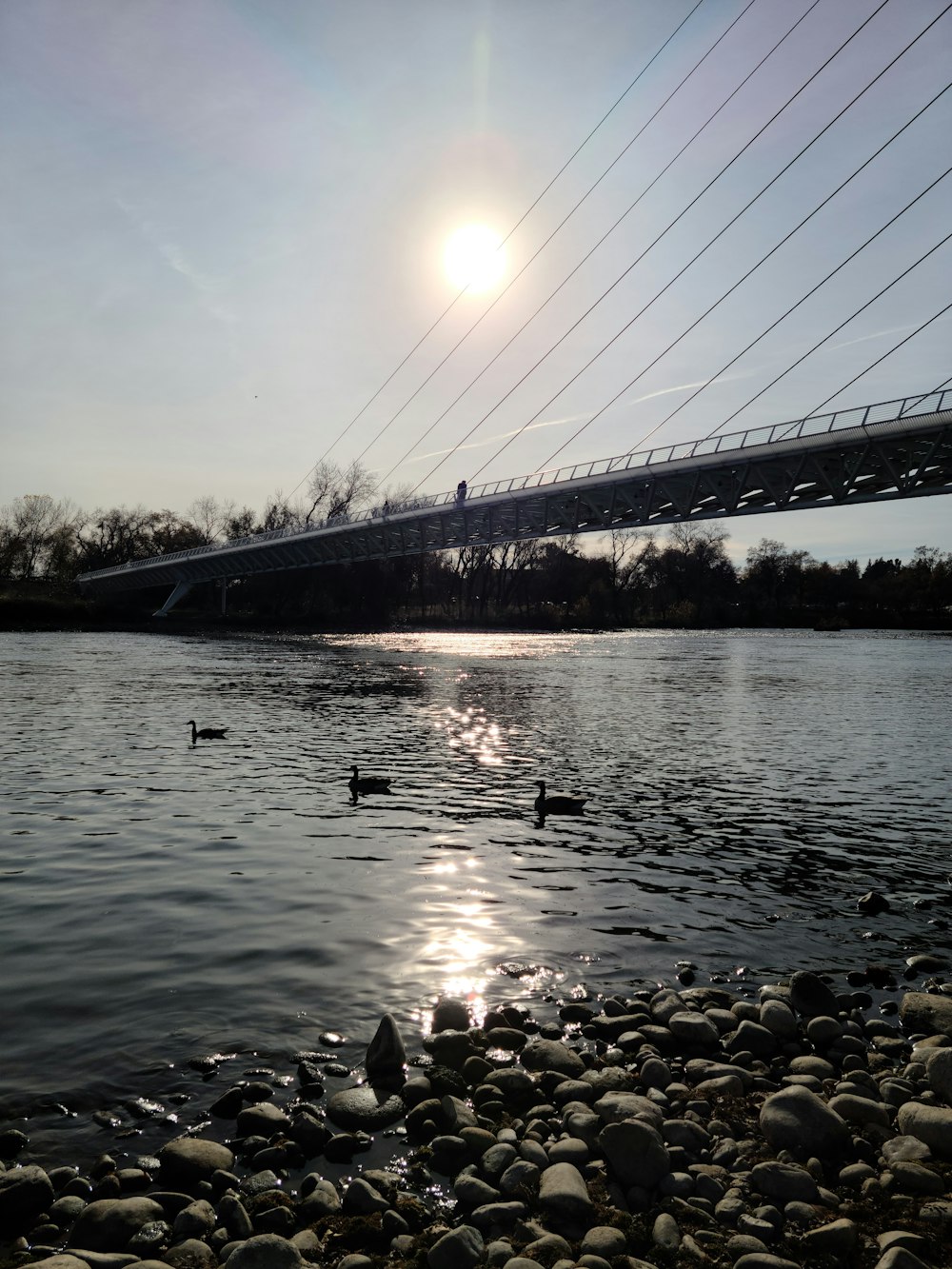 a bridge over a river with ducks swimming under it