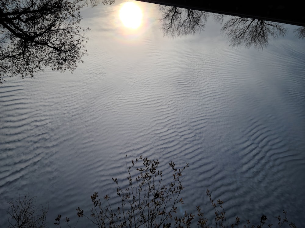 a body of water with trees in the background