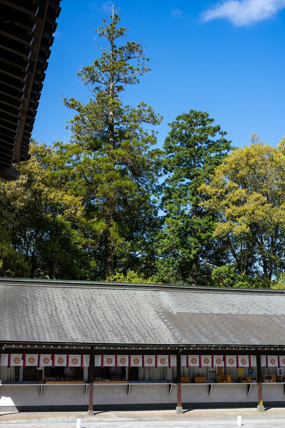 the roof of a building with trees in the background