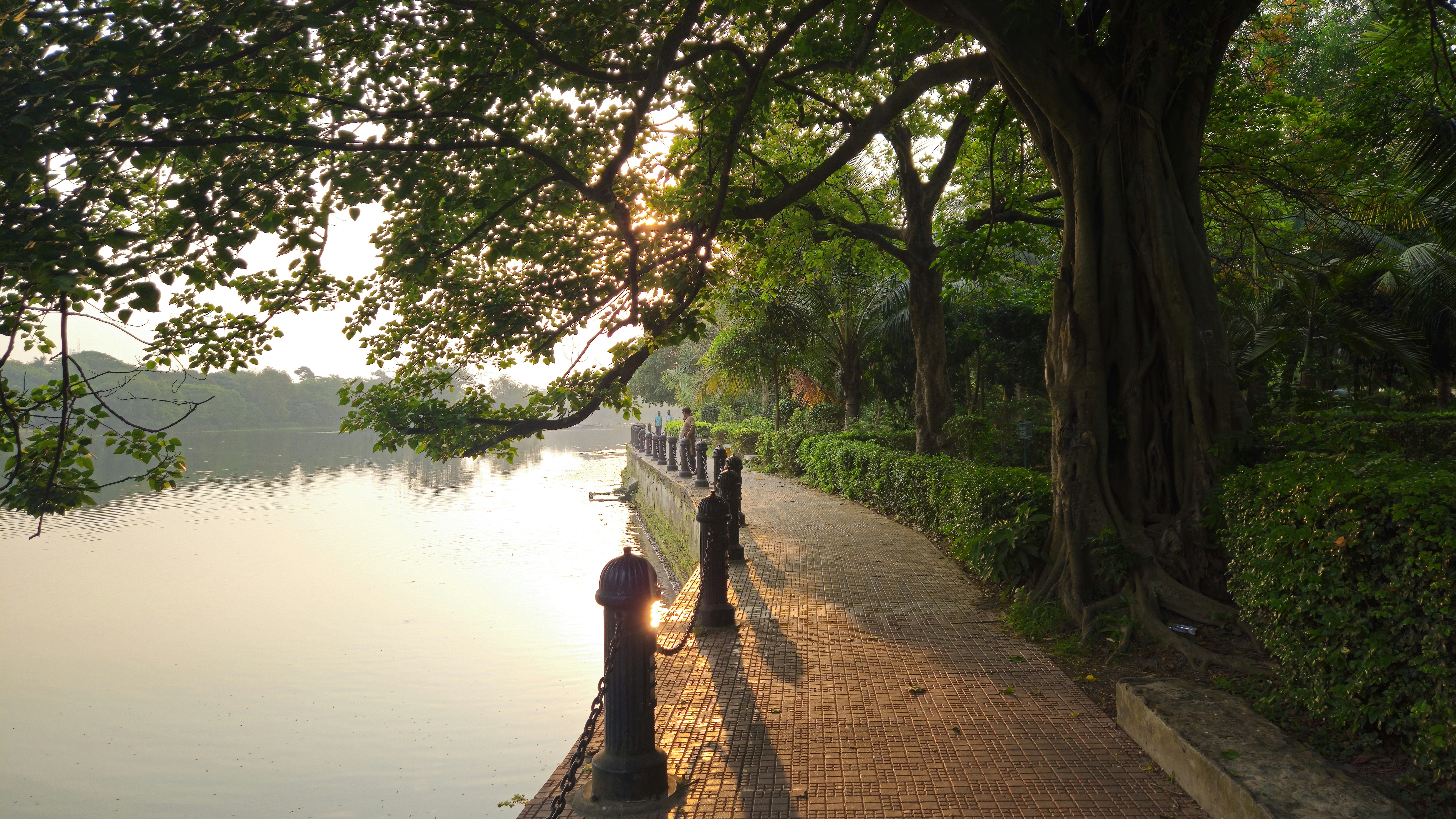 Photo by suman17041995