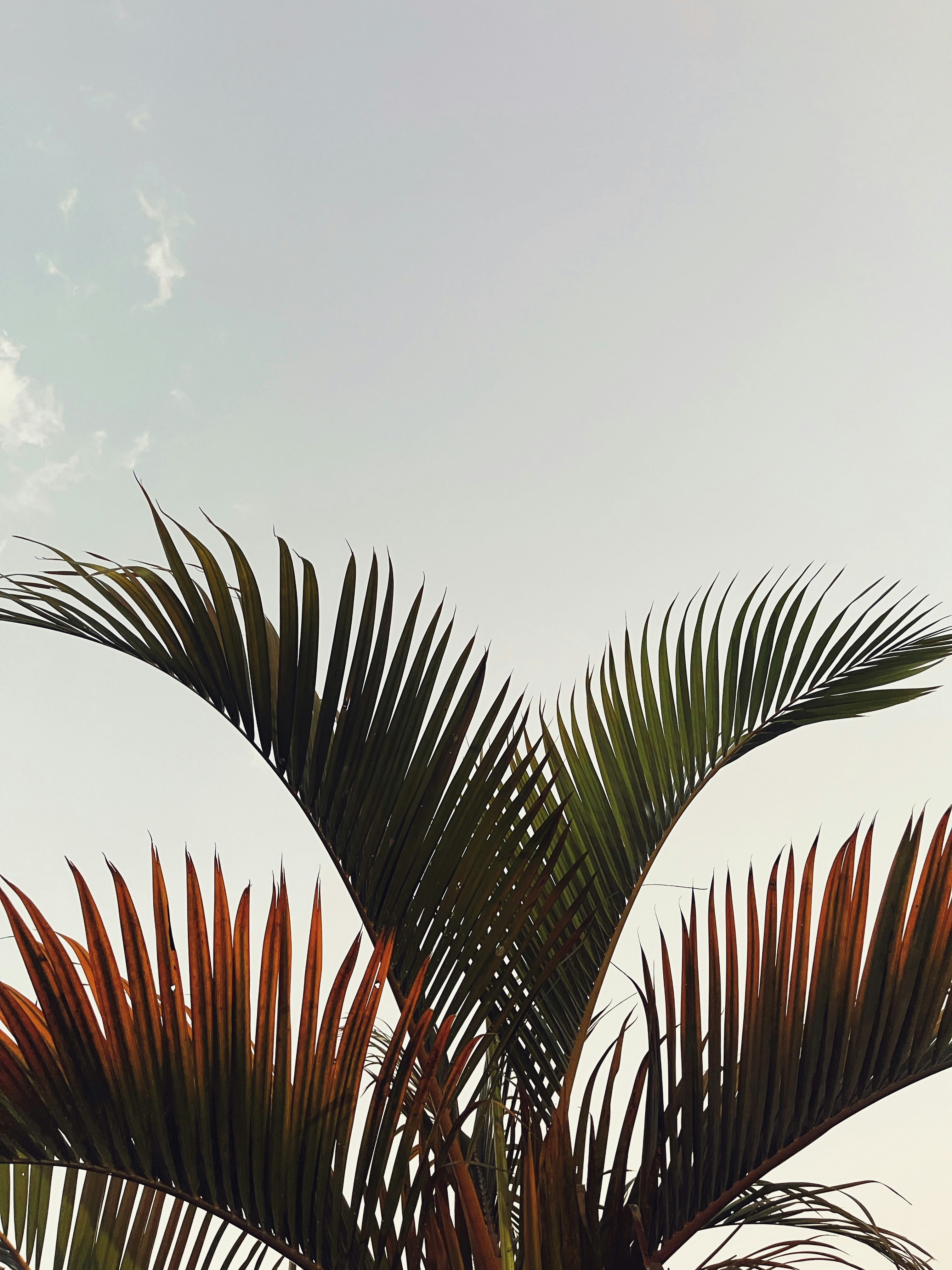 Photo by monolidsforever