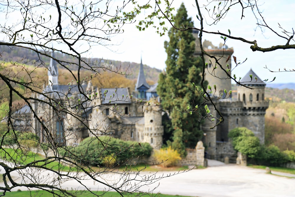 a castle with a lot of trees in front of it