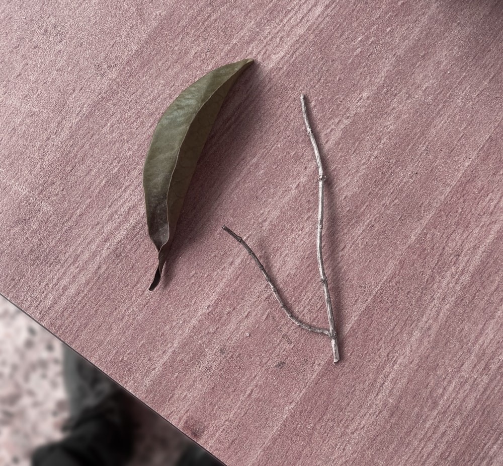 a single leaf on a table with a person in the background