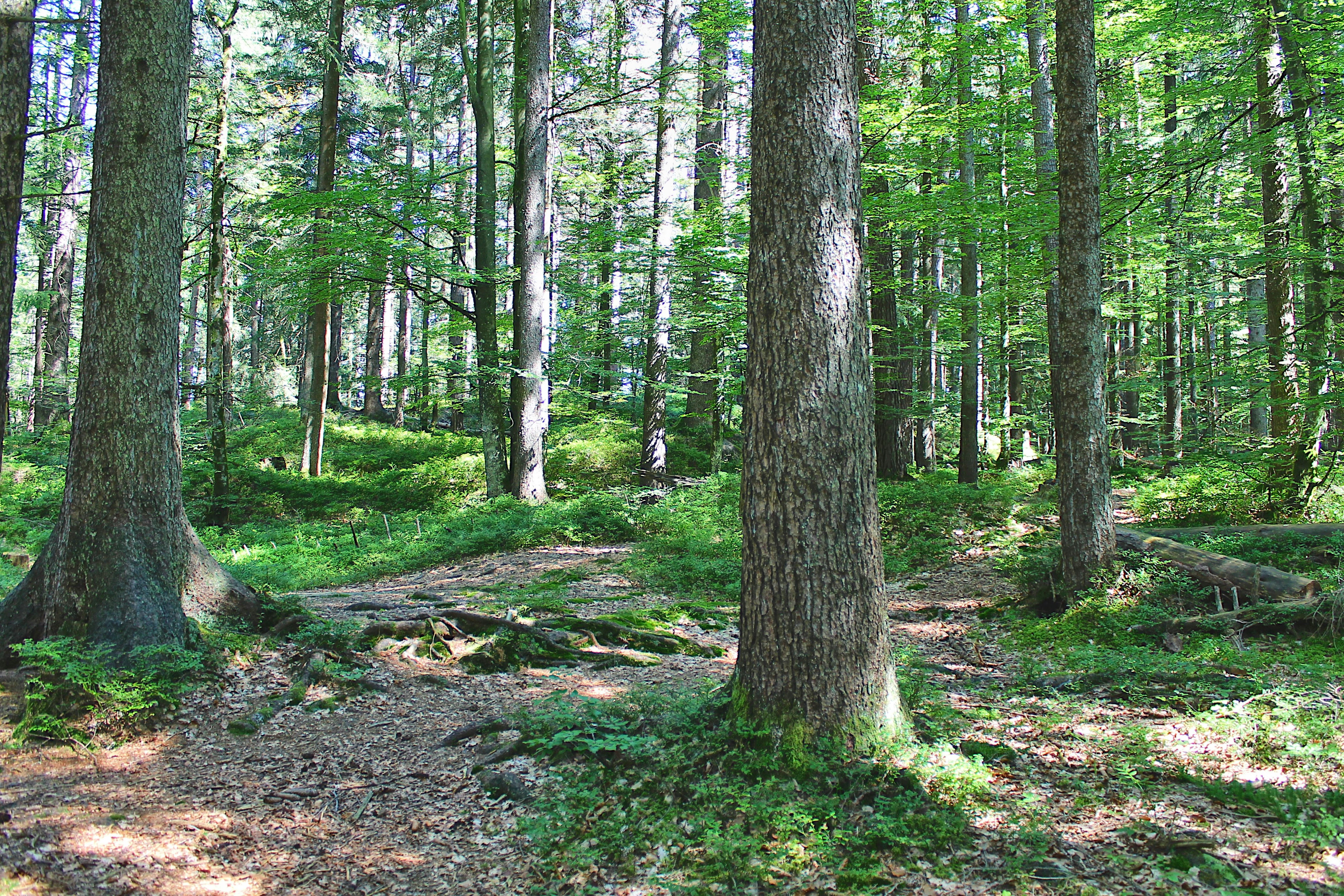 Photo by appenzellmoto