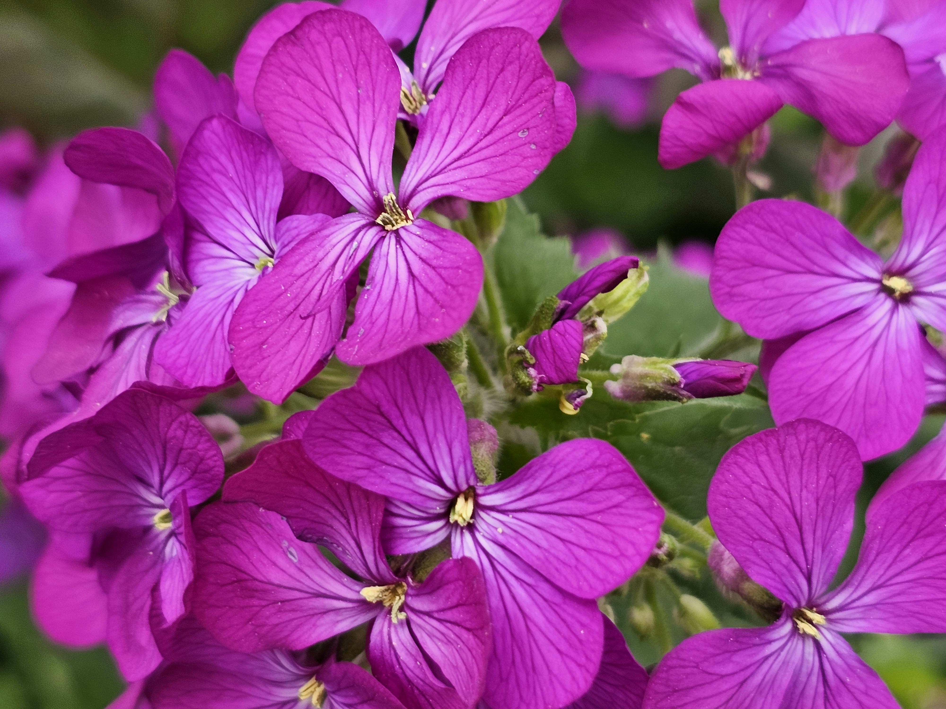 Photo by photograph_0080