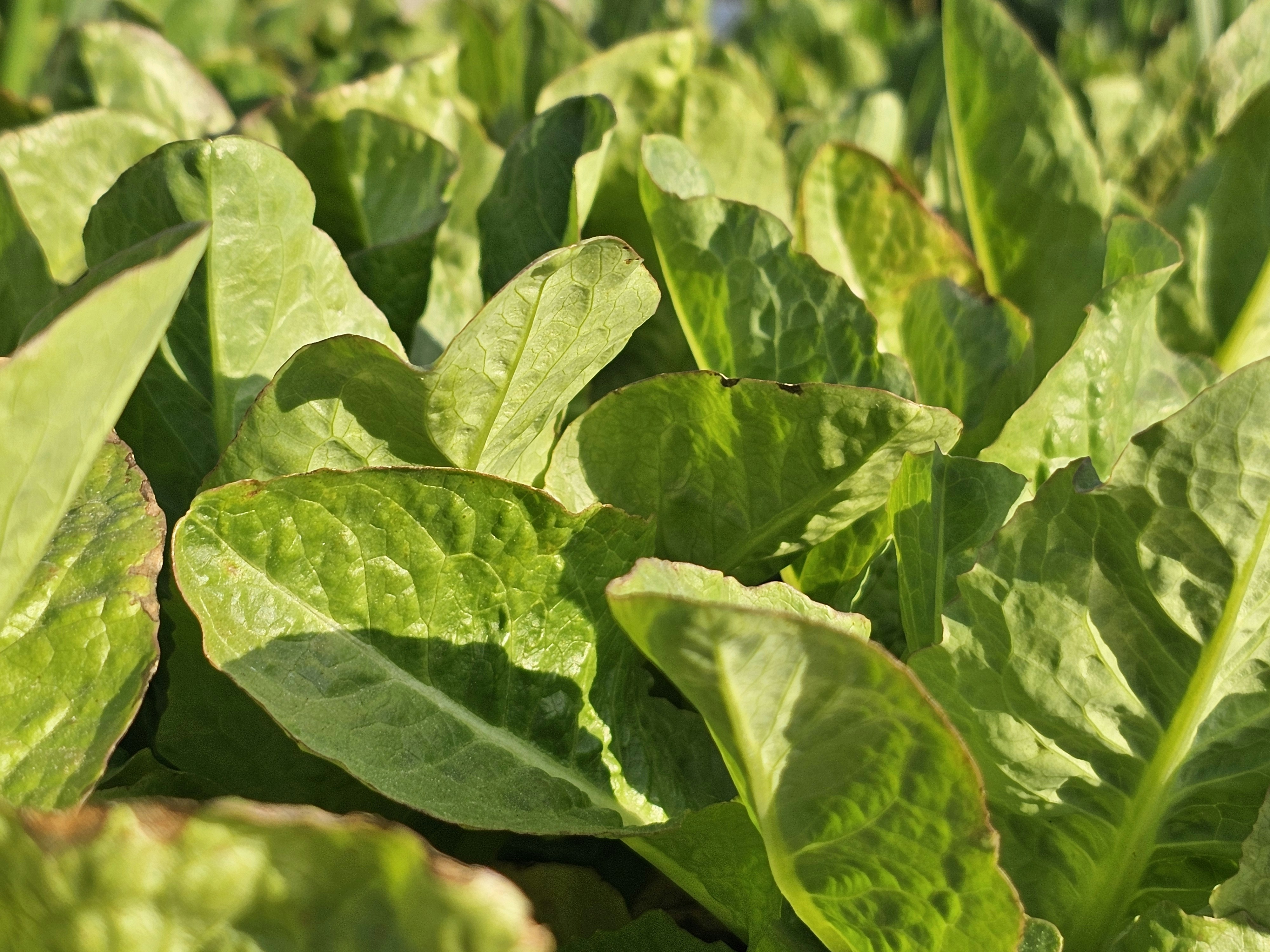 Photo by photograph_0080