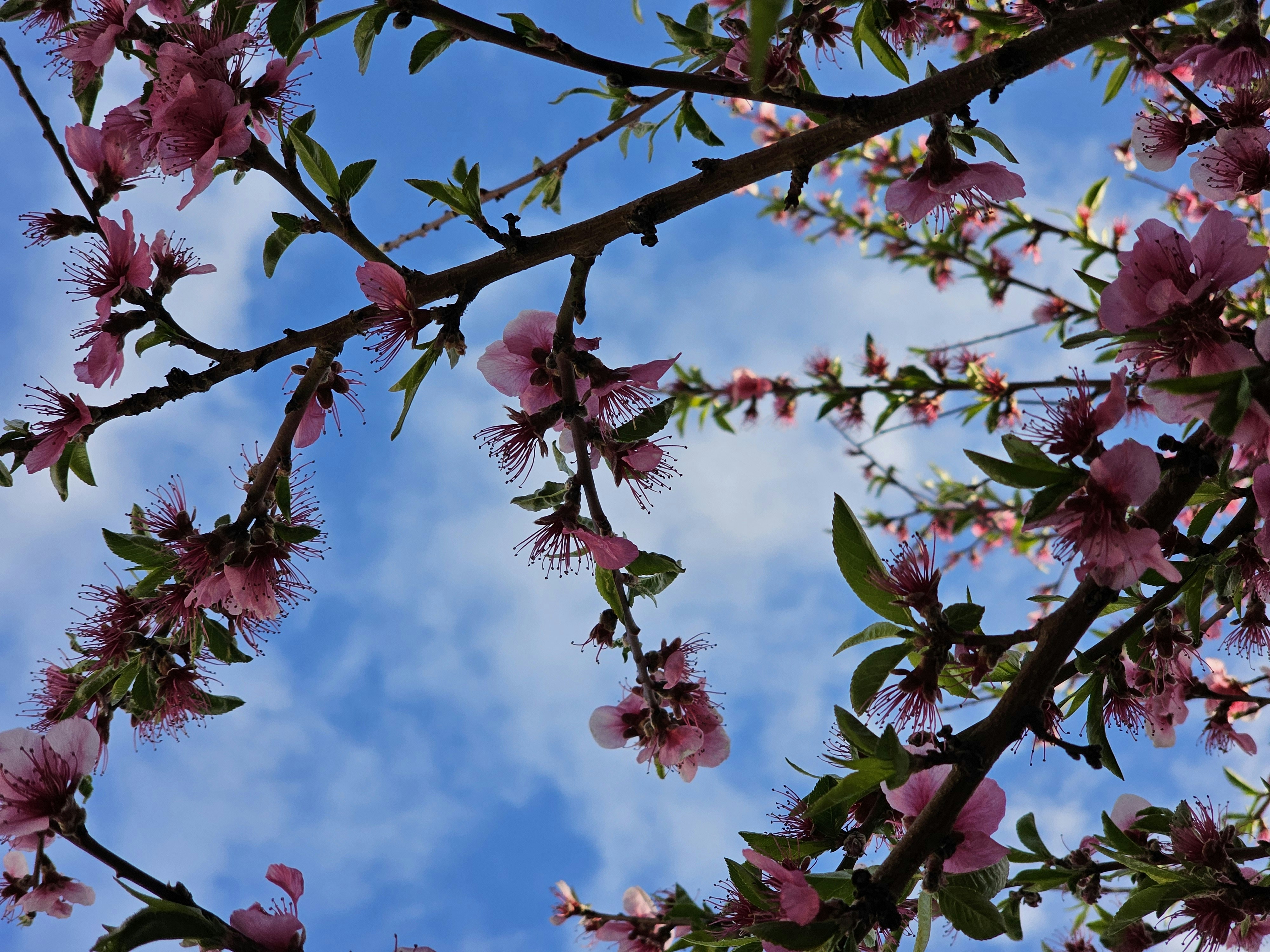 Photo by photograph_0080