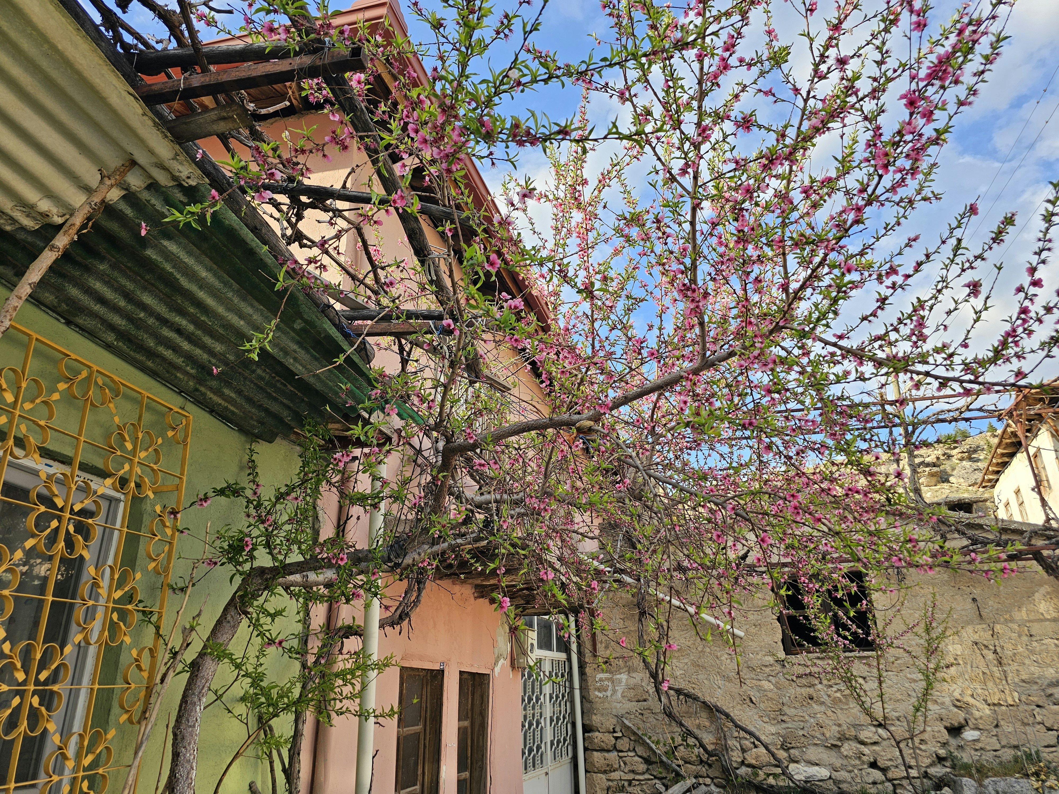 Photo by photograph_0080