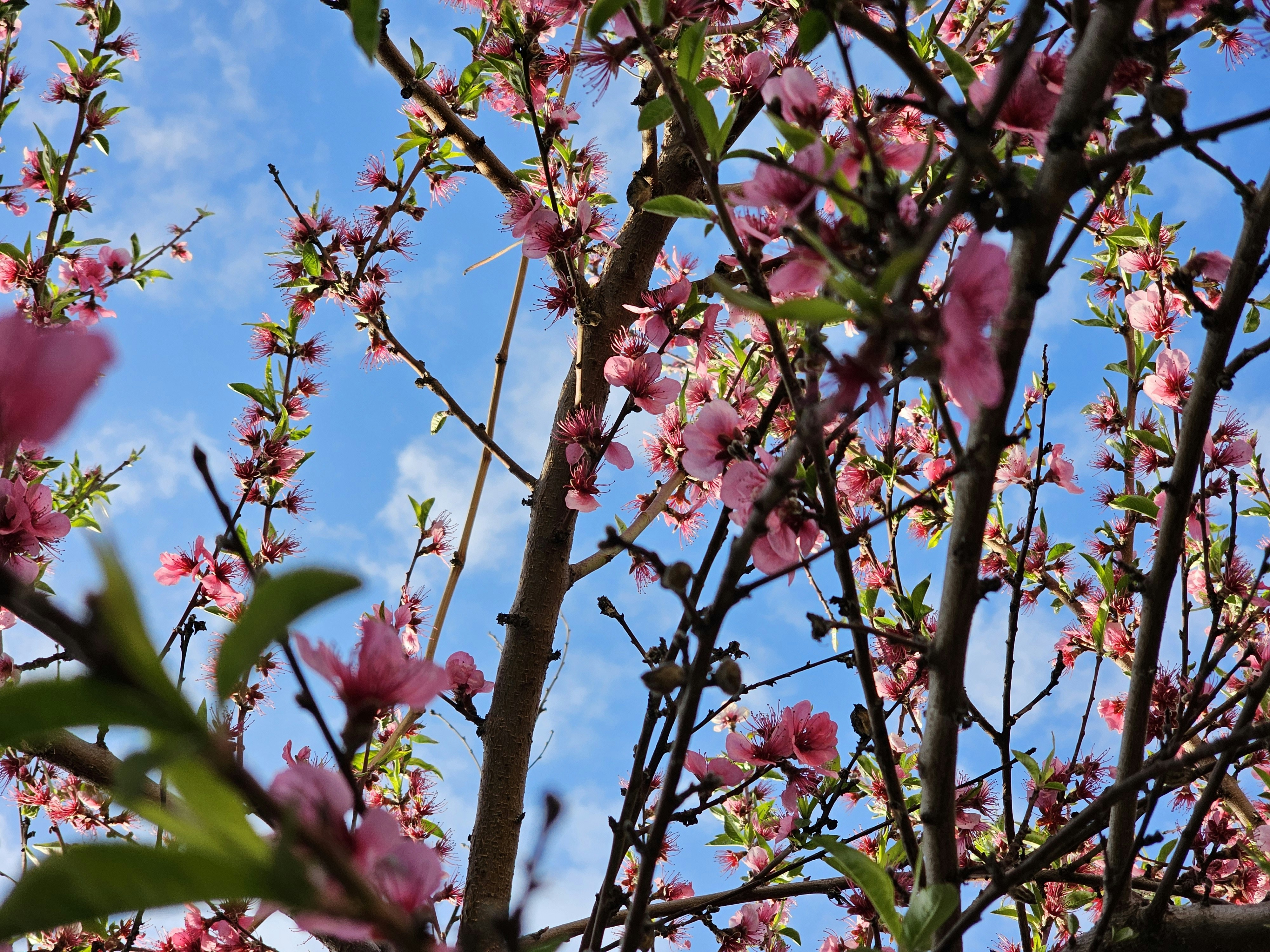 Photo by photograph_0080