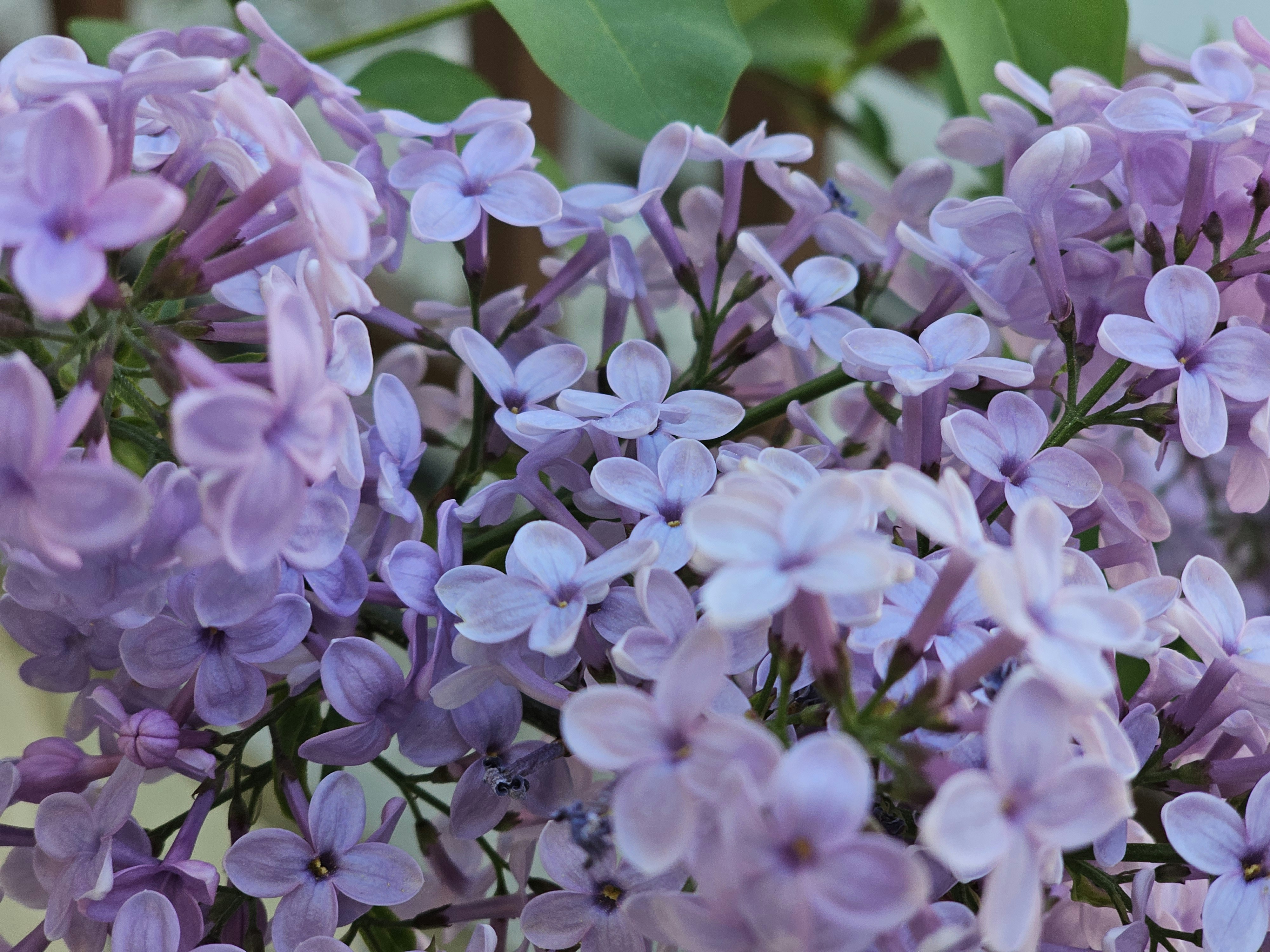 Photo by photograph_0080