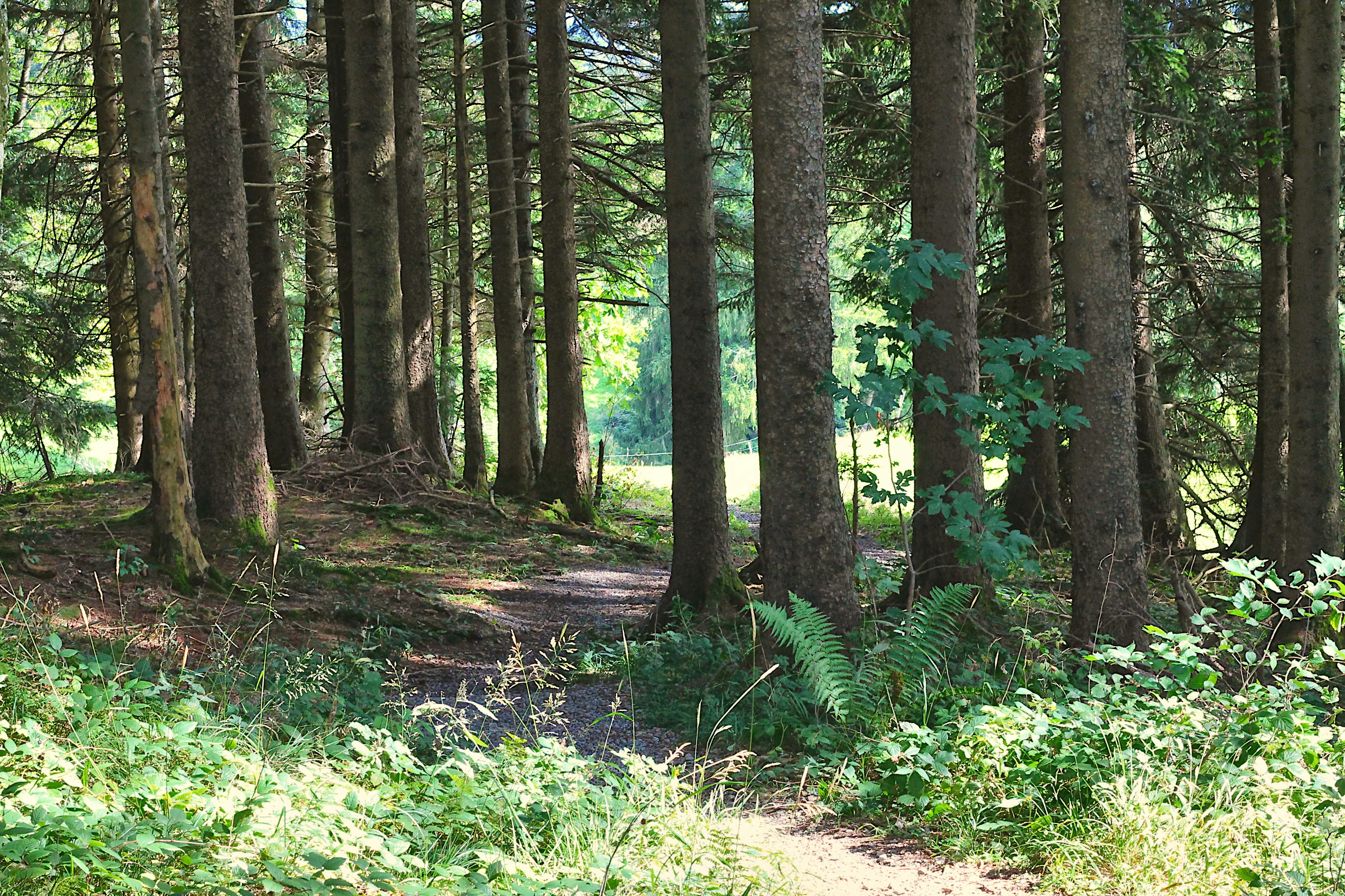 Photo by appenzellmoto