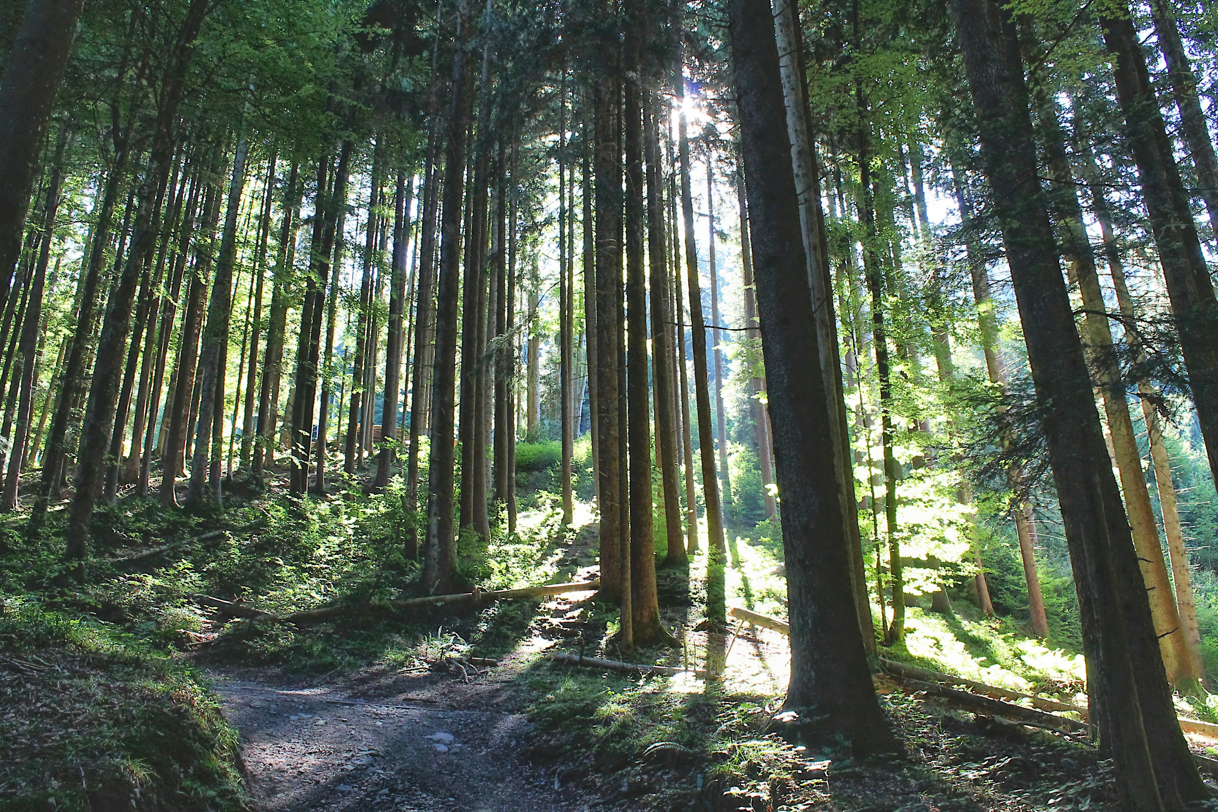 Photo by appenzellmoto