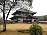 a large wooden building sitting next to a tree