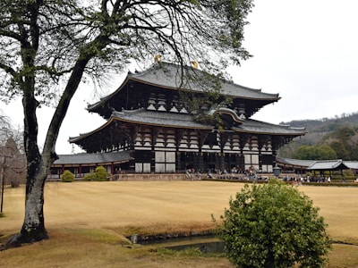 a large wooden building sitting next to a tree