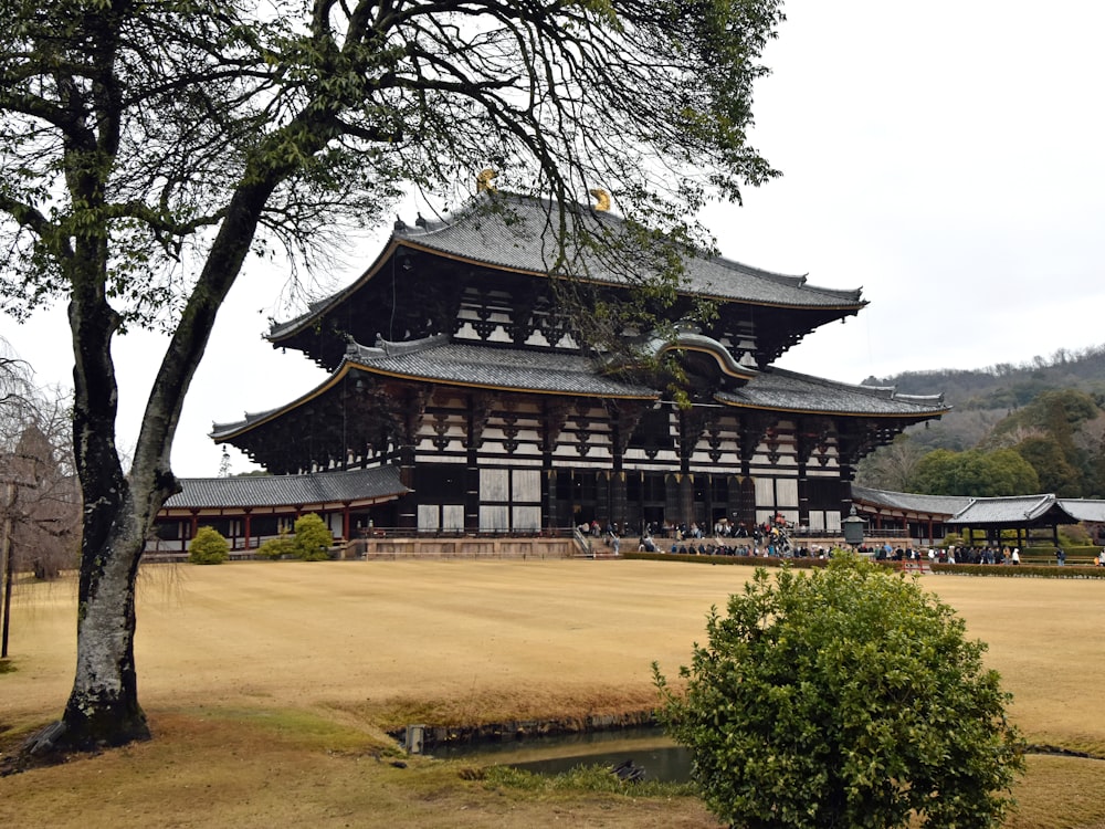 a large wooden building sitting next to a tree