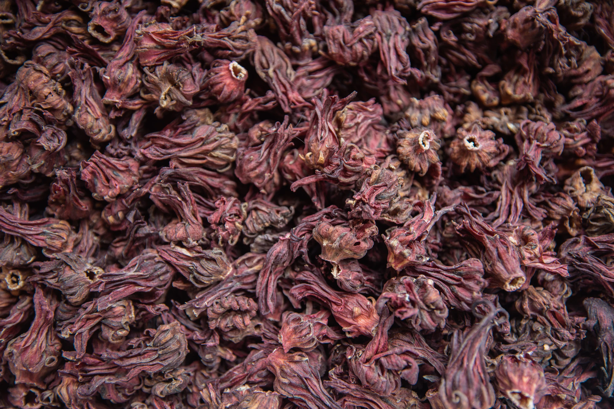 A dense pile of whole dried hibiscus flowers