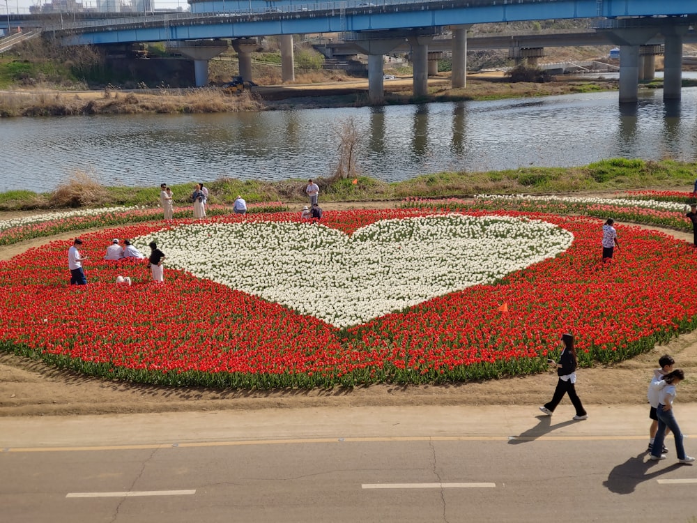 a heart shaped flower bed in the middle of a road