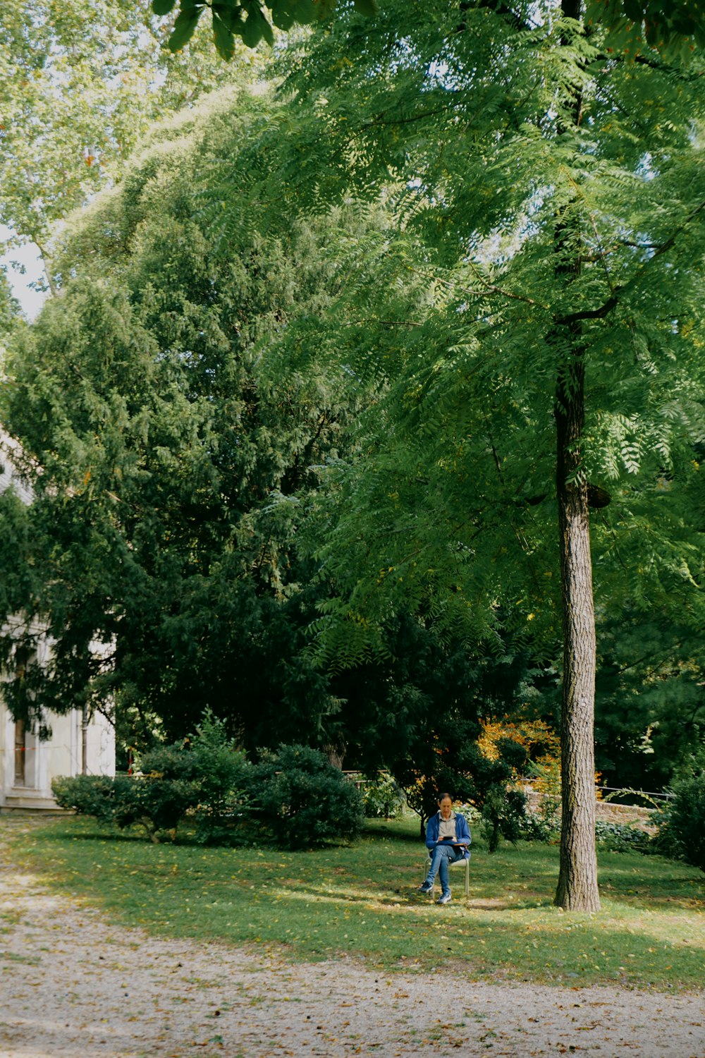 two people walking through a park near a tree