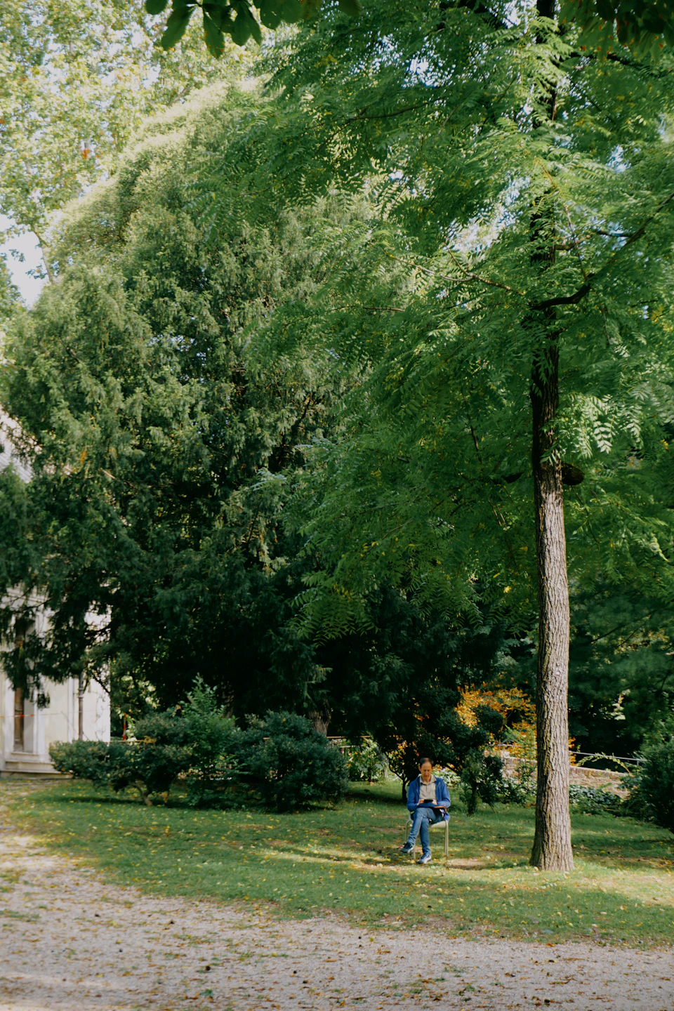 The image depicts a serene park scene with two individuals seated on a bench under a large tree, which is surrounded by lush green foliage and towering over them. The person on the left side of the bench is wearing a blue shirt and has their back to the camera, while the individual on the right side faces the viewer, both appearing relaxed in this tranquil setting. In the background, there are trees with leaves that have turned yellow, suggesting it might be autumn or late summer.
